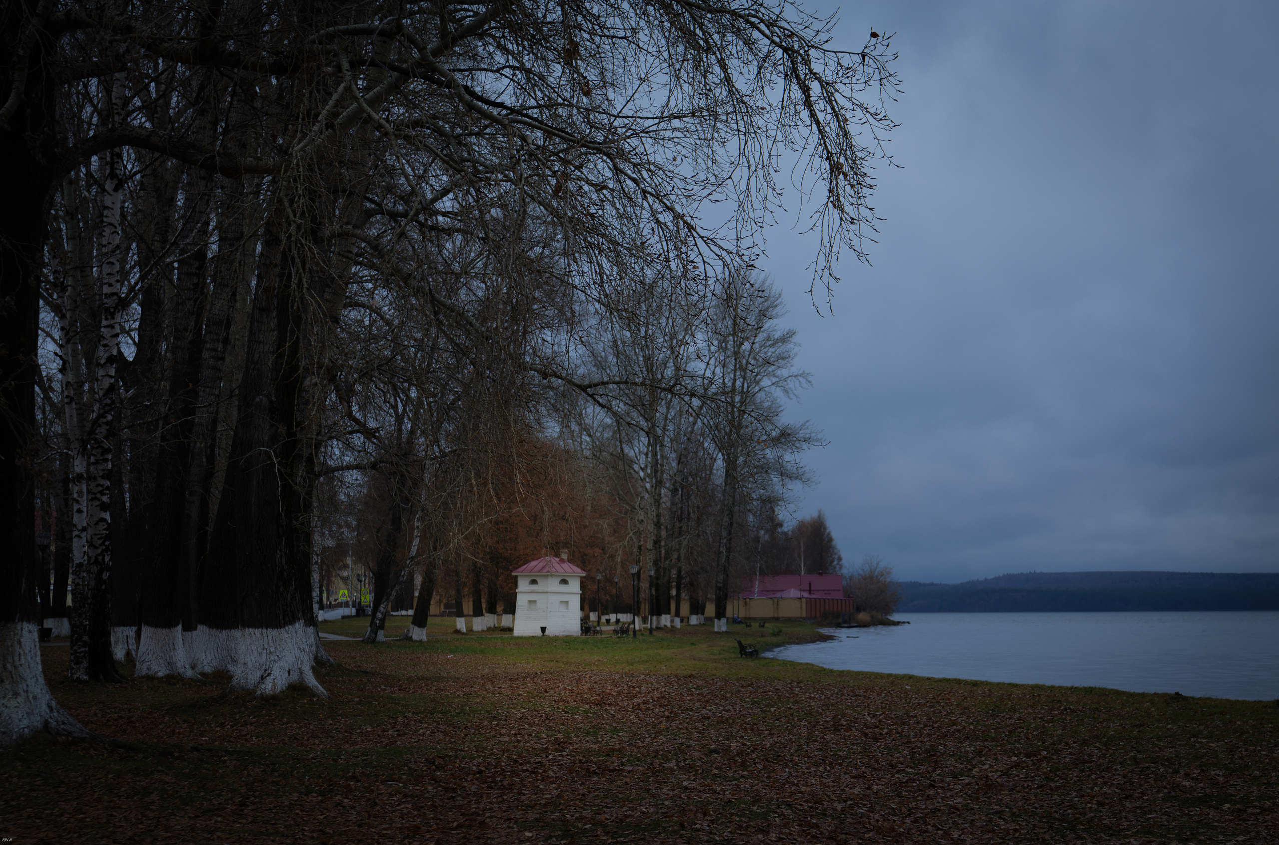 Снято сейчас. Владимир Власюк