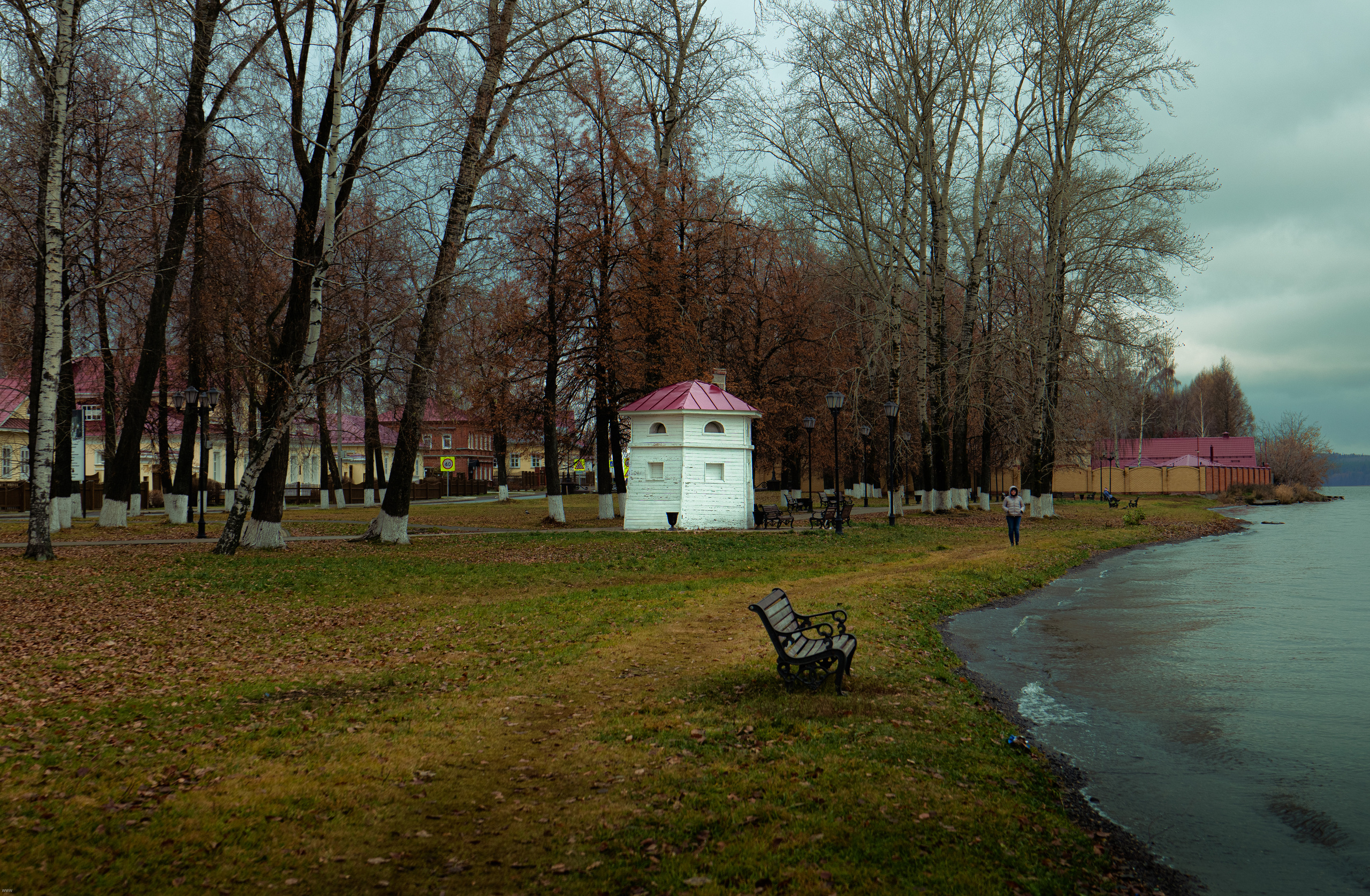 Снято сейчас. Владимир Власюк