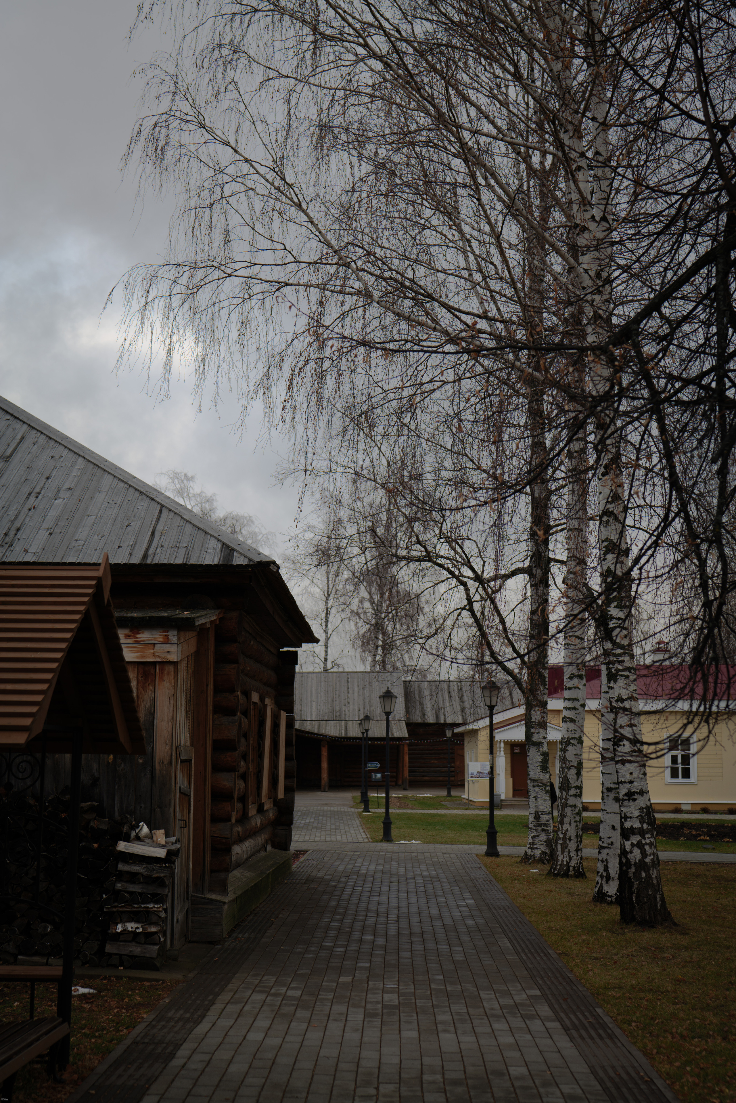 Снято сейчас. Владимир Власюк