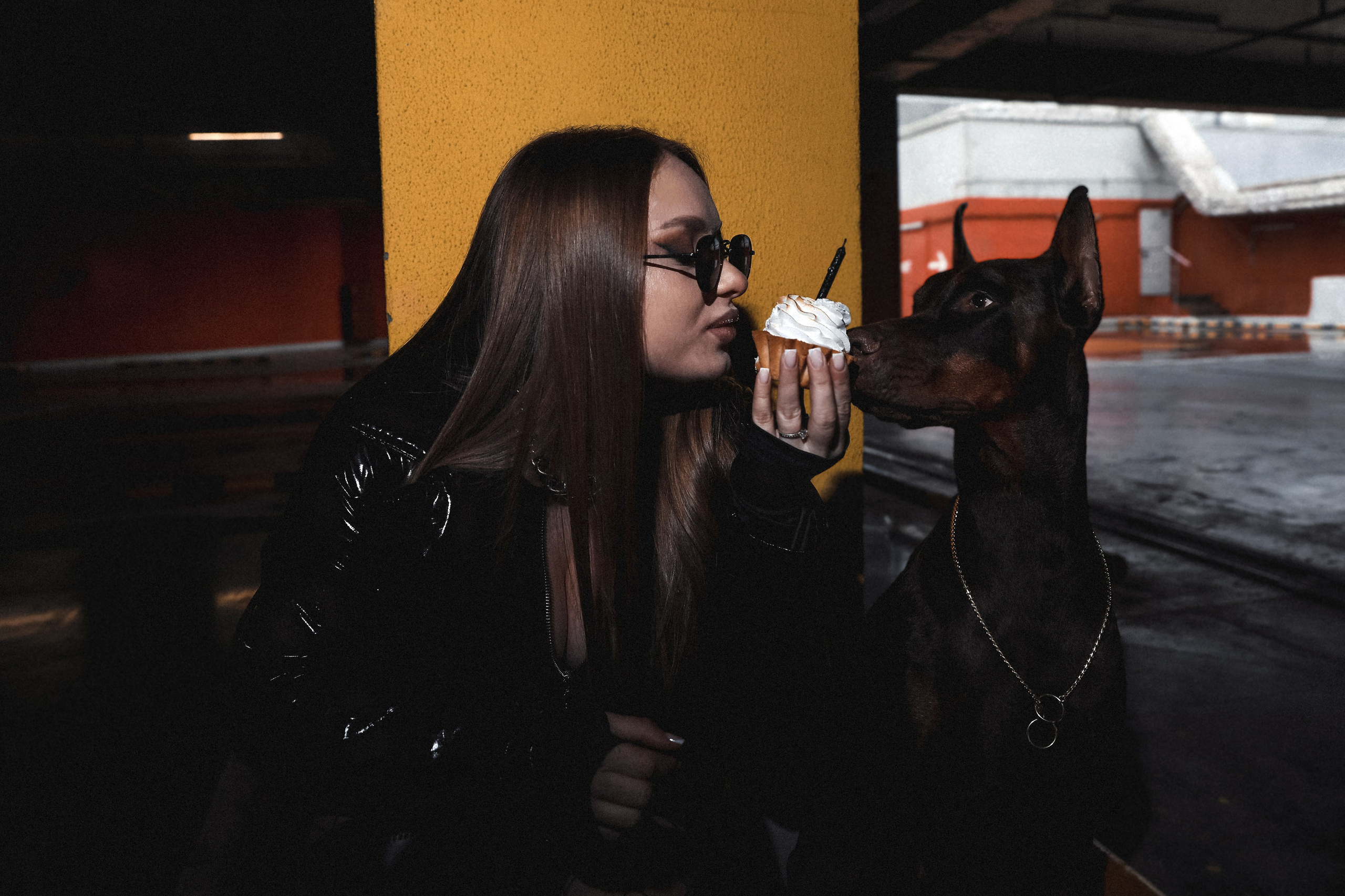 ПРОЕКТ «ДОБЕРМАНЫ». Photographer Viktoriya Markushina «My world throug»