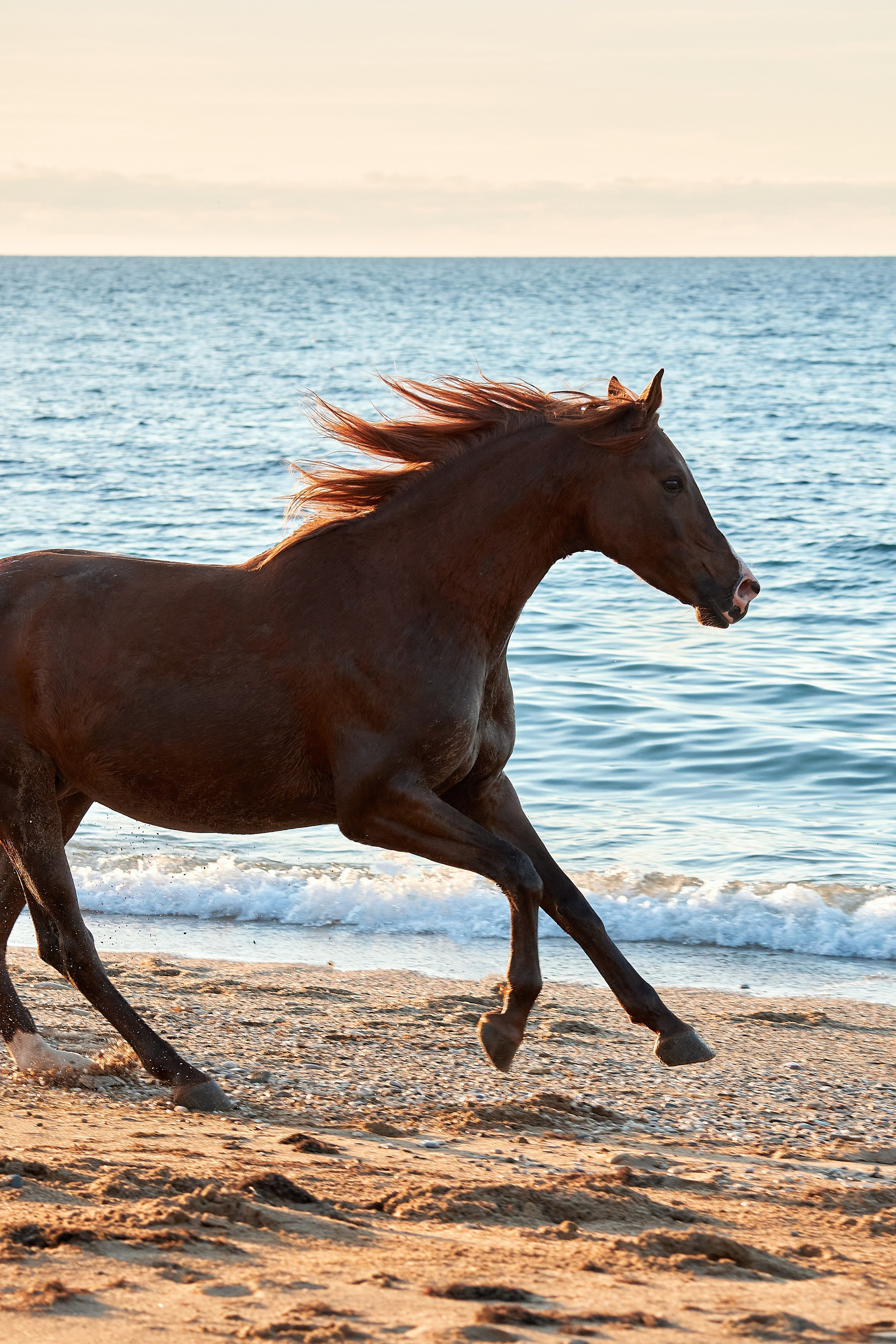 Галактика и Кассиопея. Фотограф в Севастополе