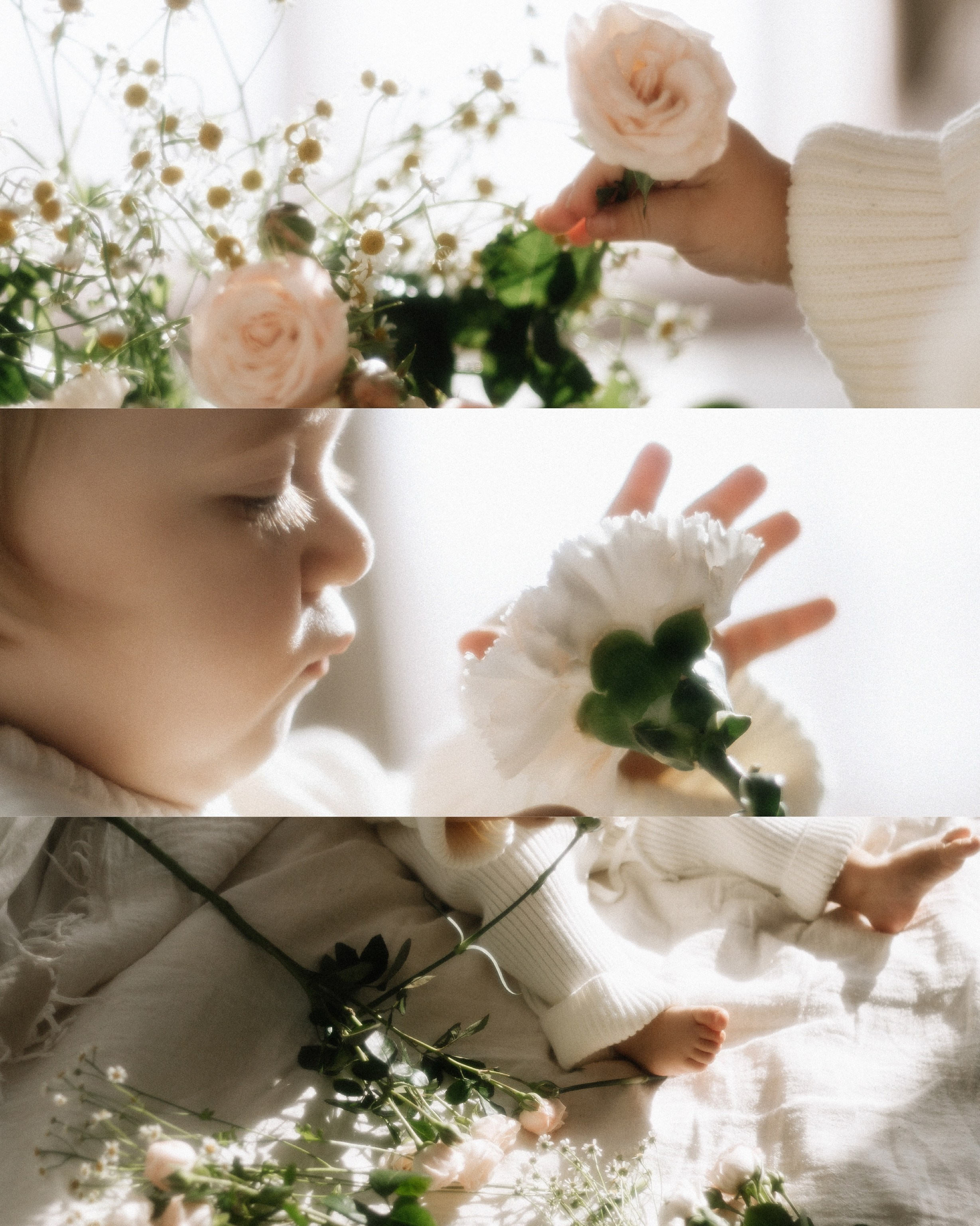 Маленькая София в цветах и лучах декабрьского солнышка. Фотограф в Крыму | Виктория Нотевская