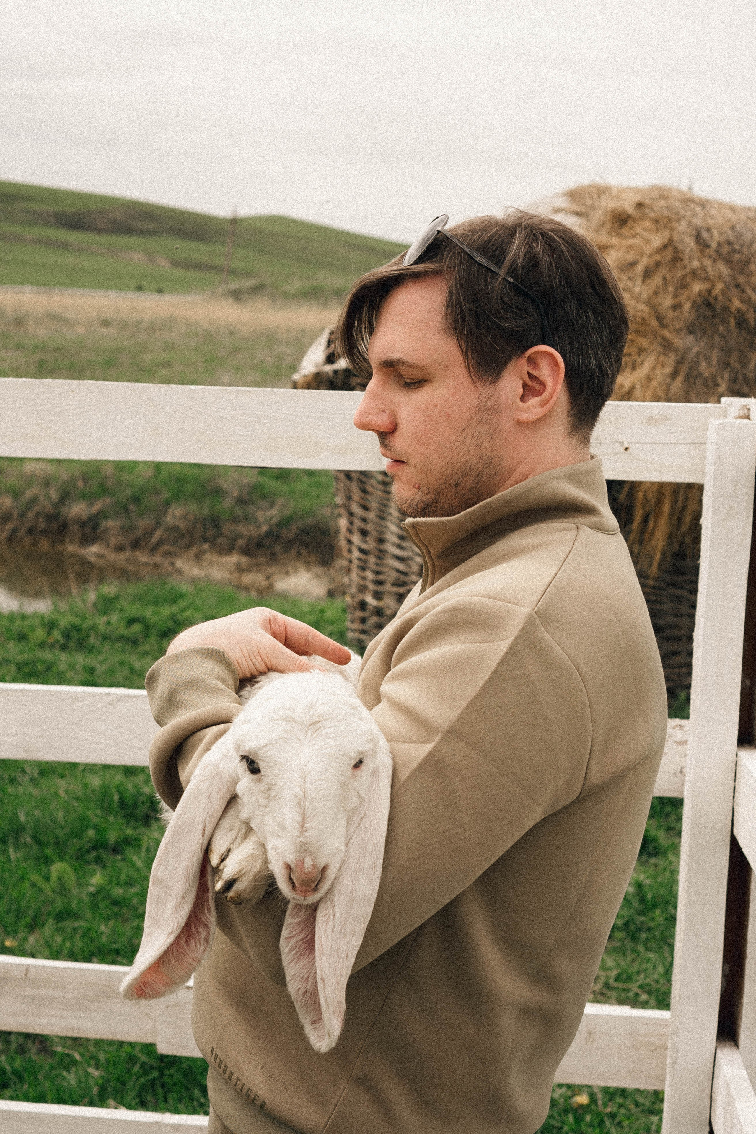 Ферма Альпак. Профессиональный фотограф, Санкт-Петербург — Виктория Богомолова