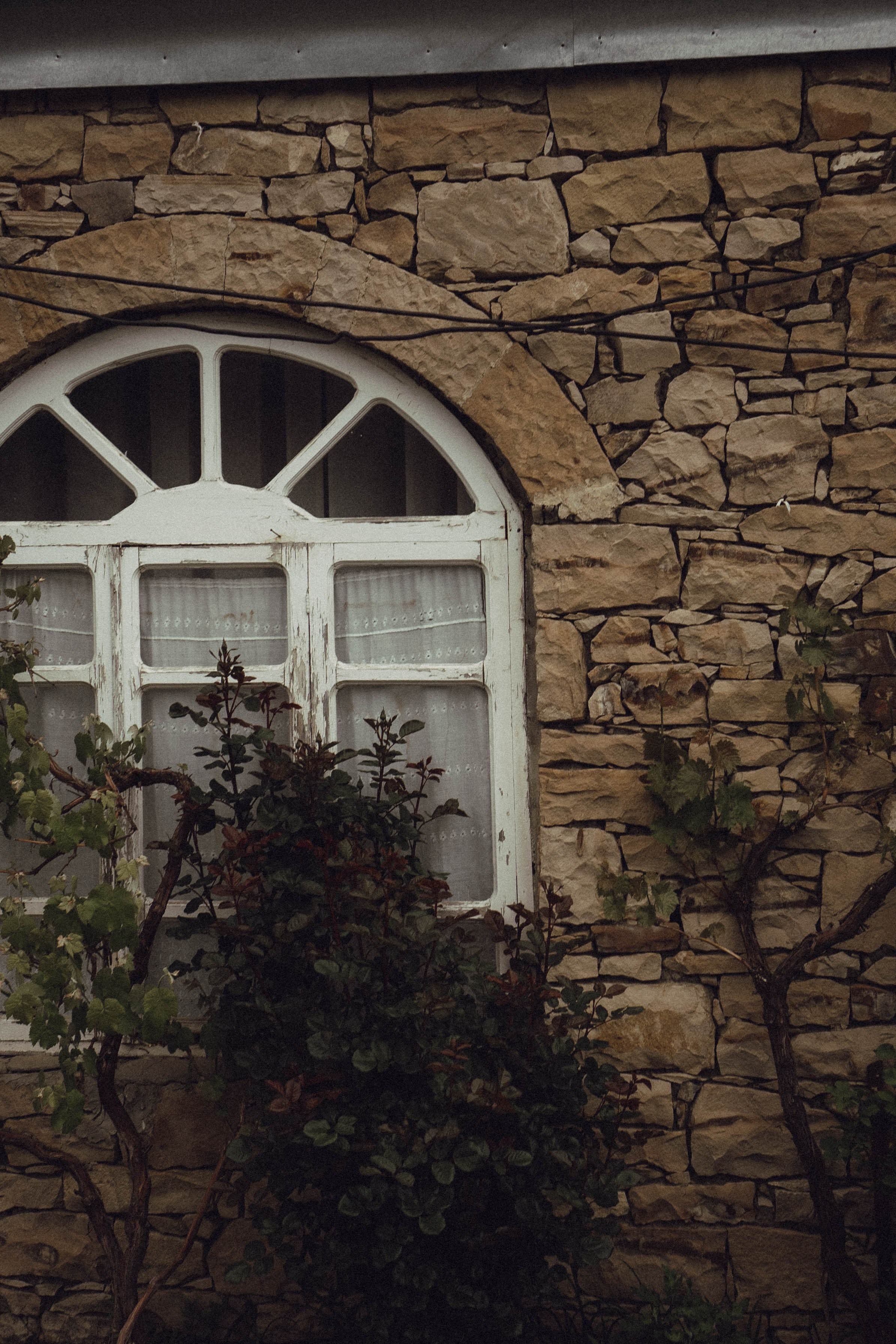 Кавказ. Профессиональный фотограф, Санкт-Петербург — Виктория Богомолова