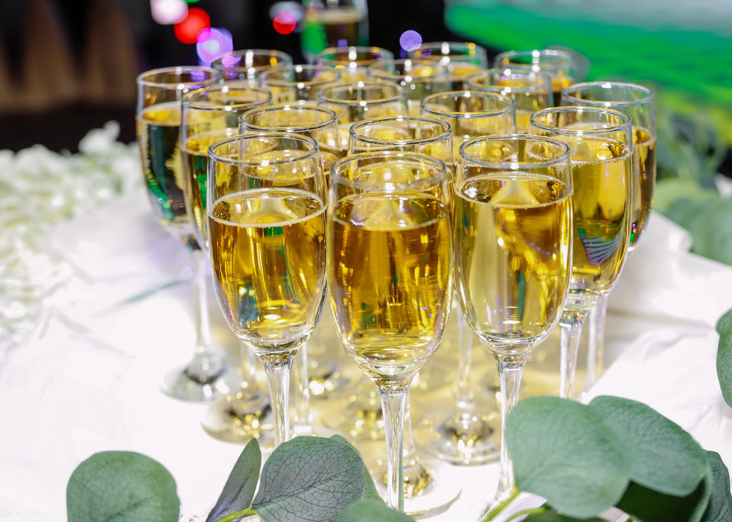 Медийный боулинг в Терки. Фотограф Юлия Мальцева