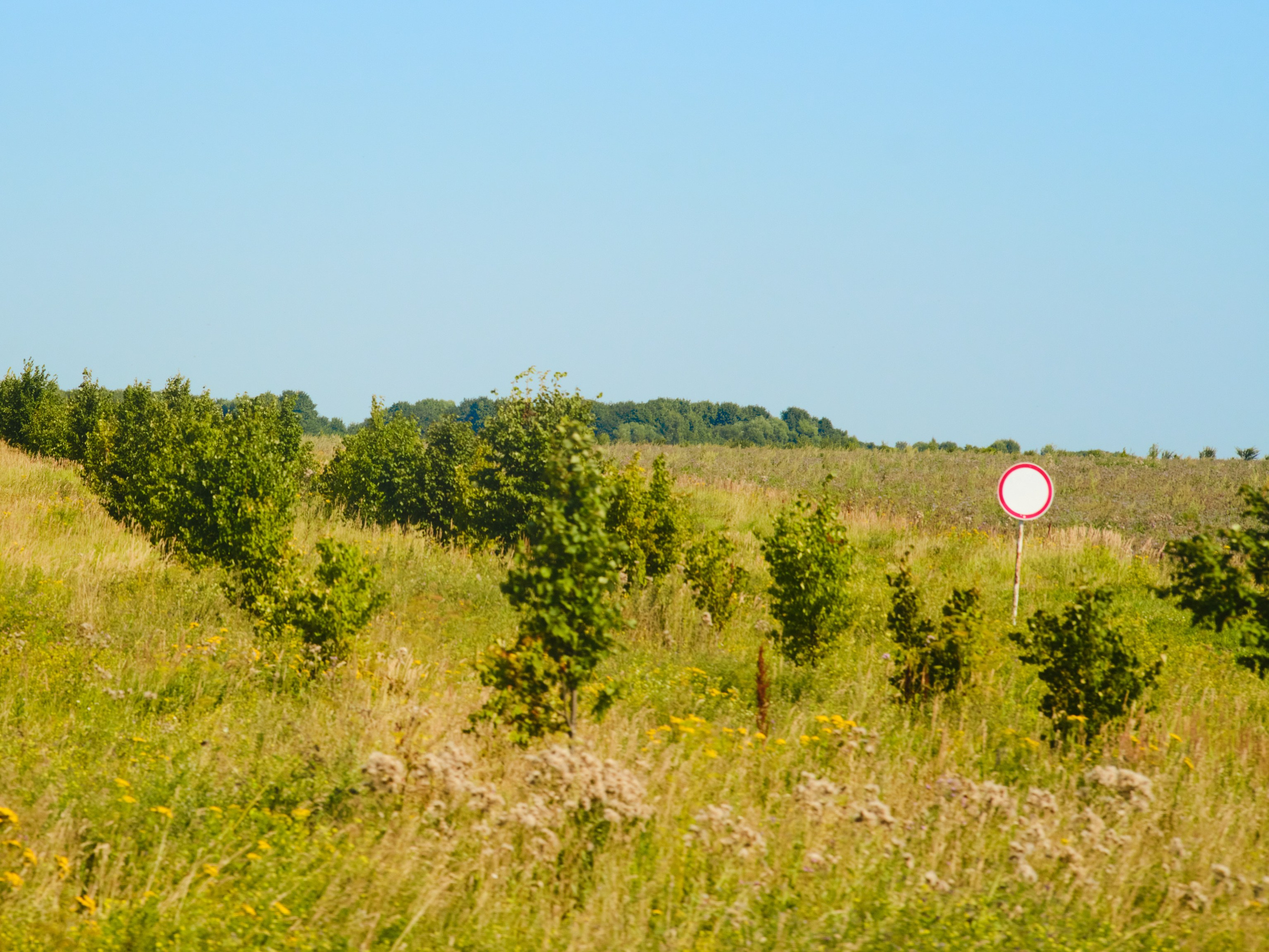 Фотограф Юлия Глазкова