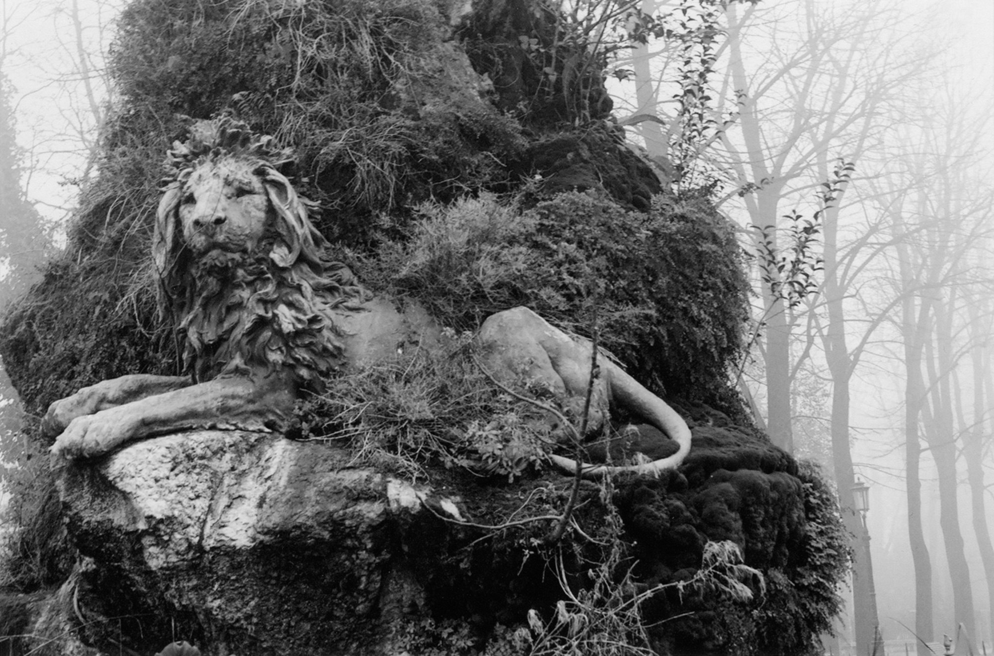 Art Series. Елена Цихон художник фотографии и мастер фото-ДНК