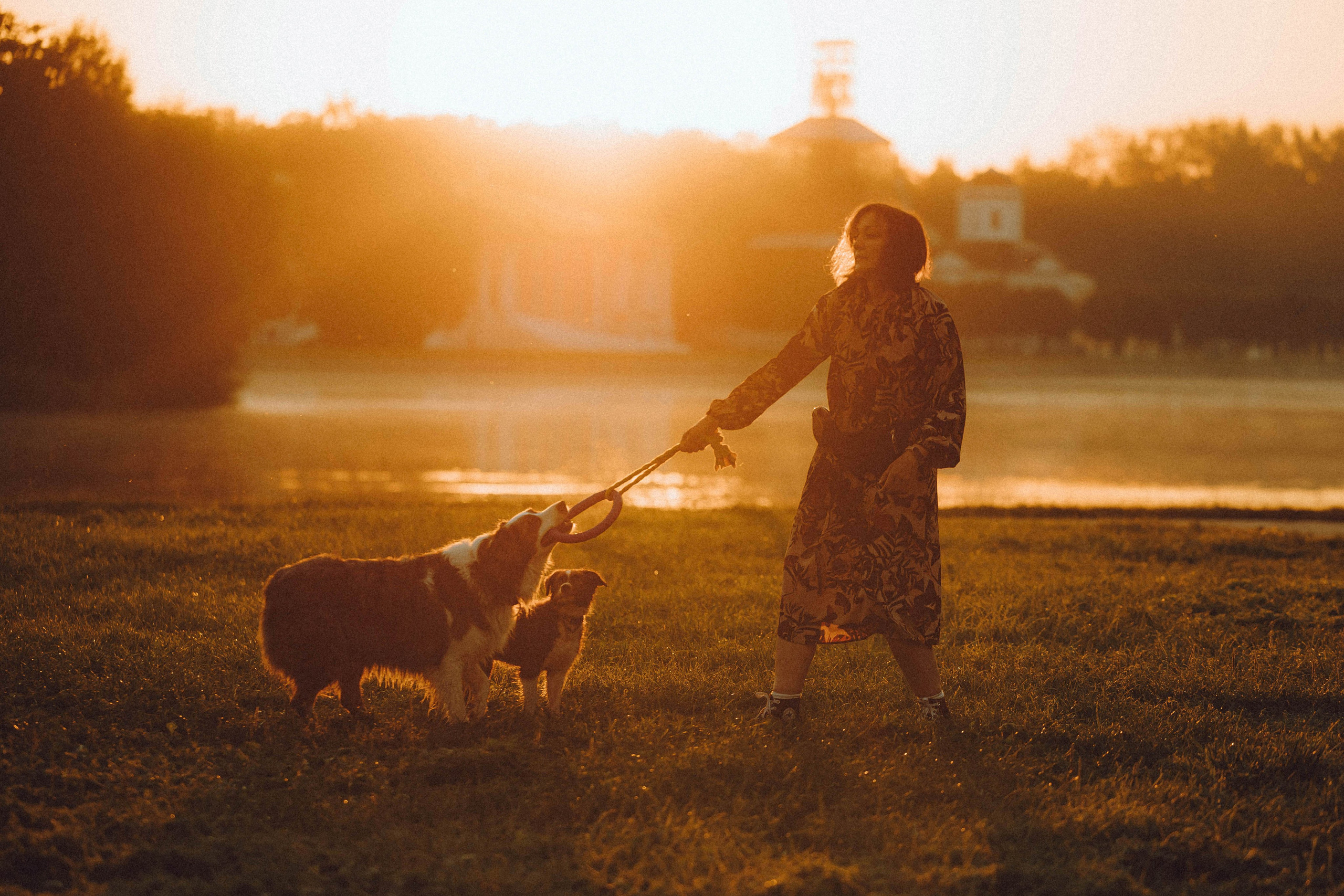 Лена, Принц и Фенек