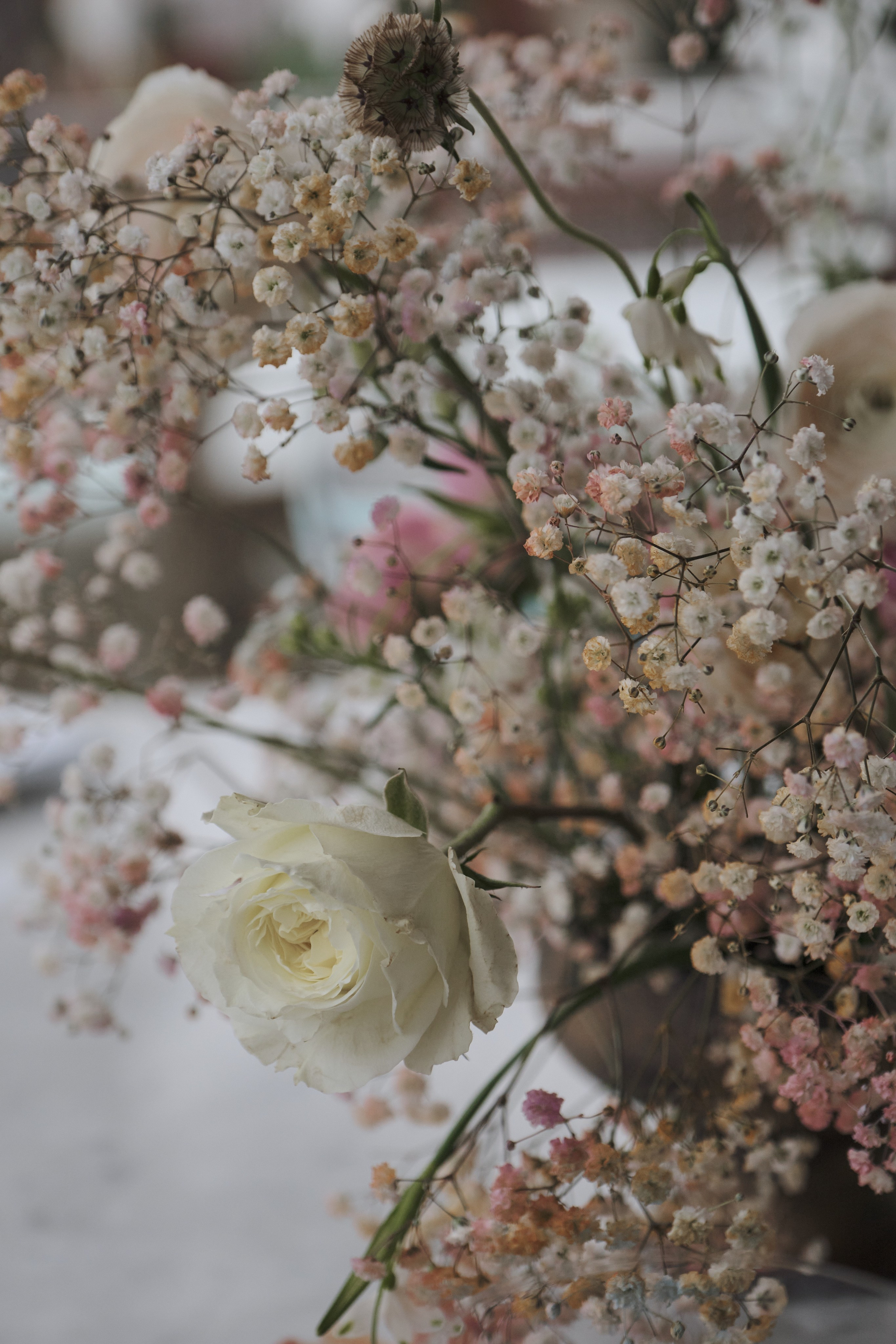 Дарья и Максим. Фотограф в Москве и Санкт-Петербурге
