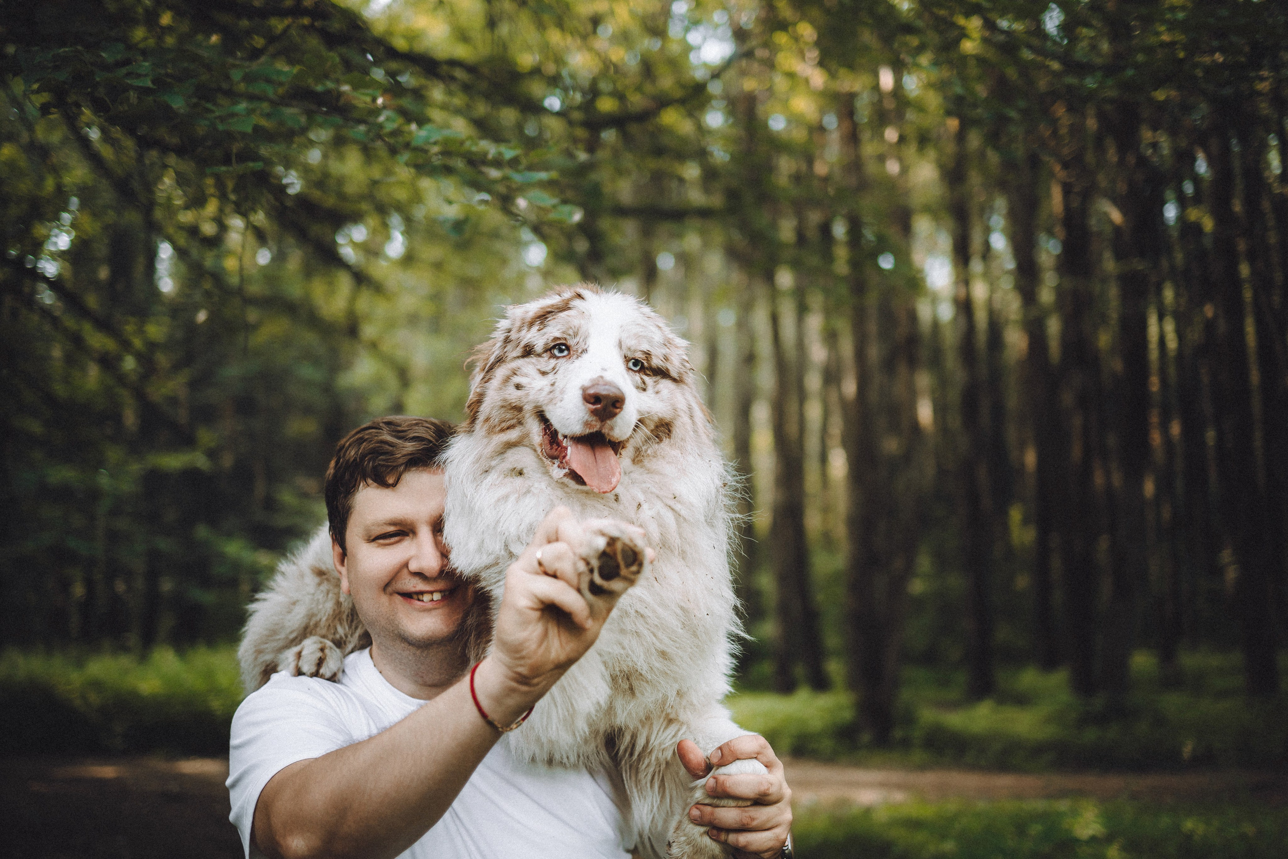 Катя, Андрей, Гектор, Ричи, Тортик и Трой
