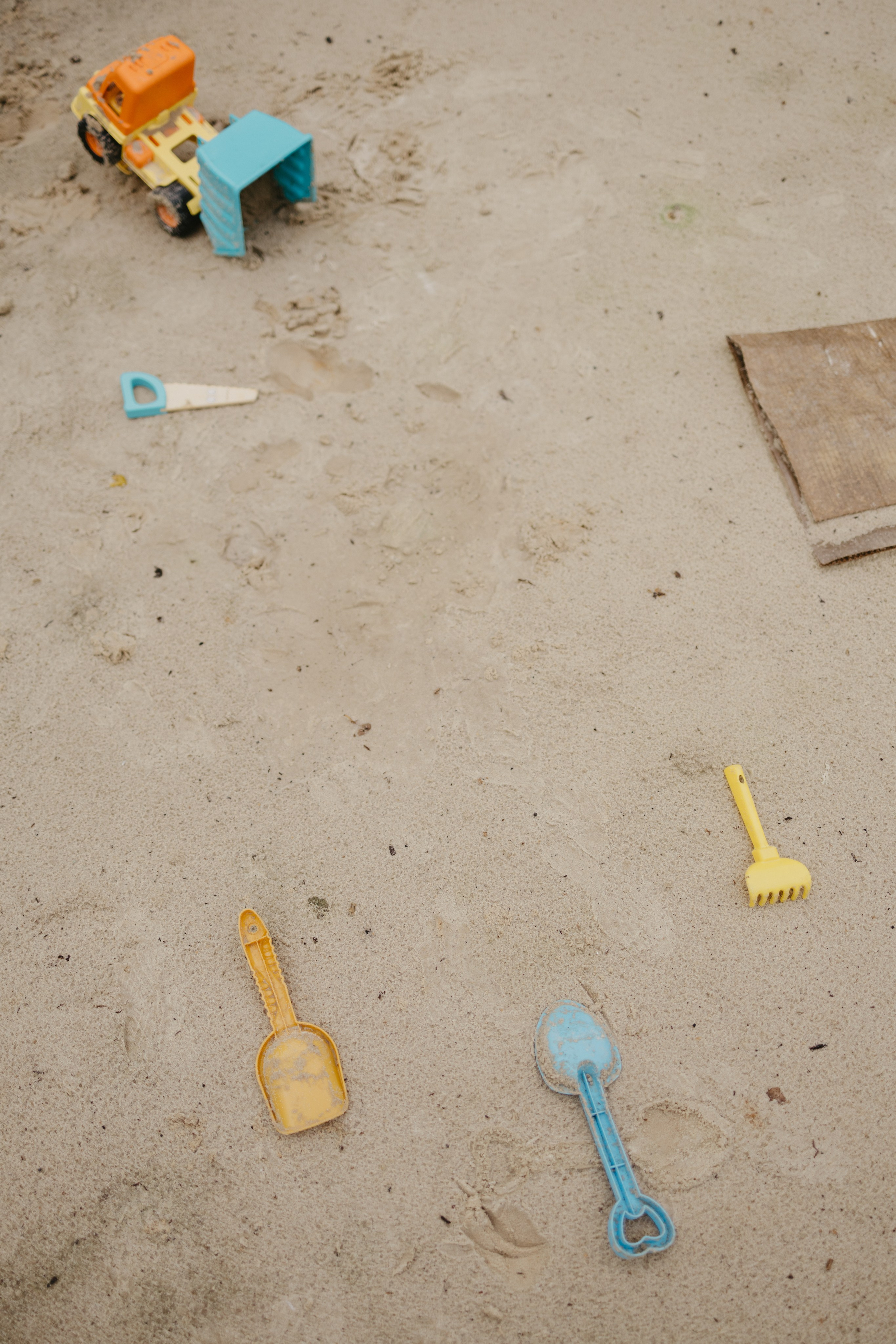 Зимний и летний сад. Фотограф Эльмира Лин