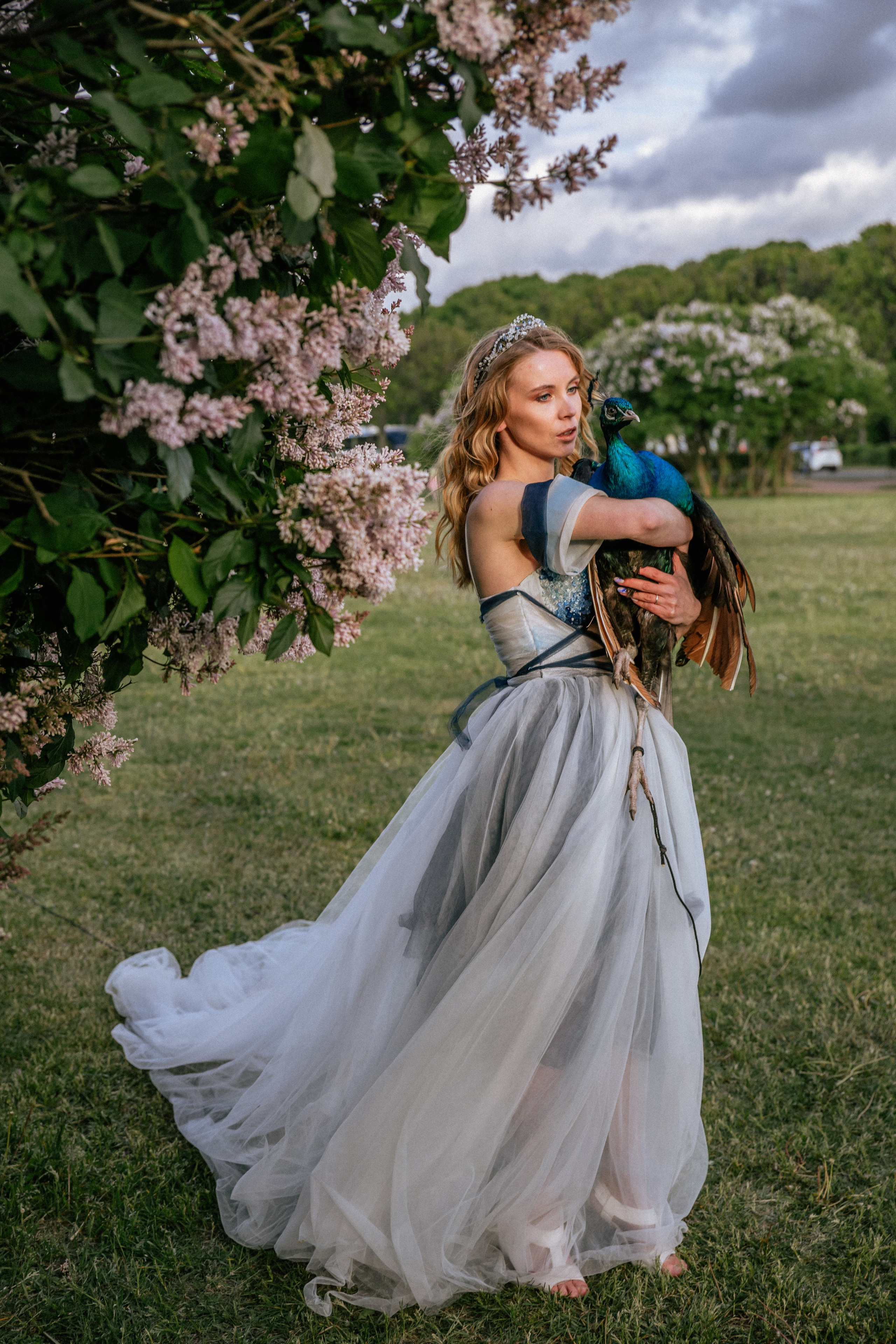 Павлин. Elena Sova — семейный и женский фотограф в Санкт-Петербурге
