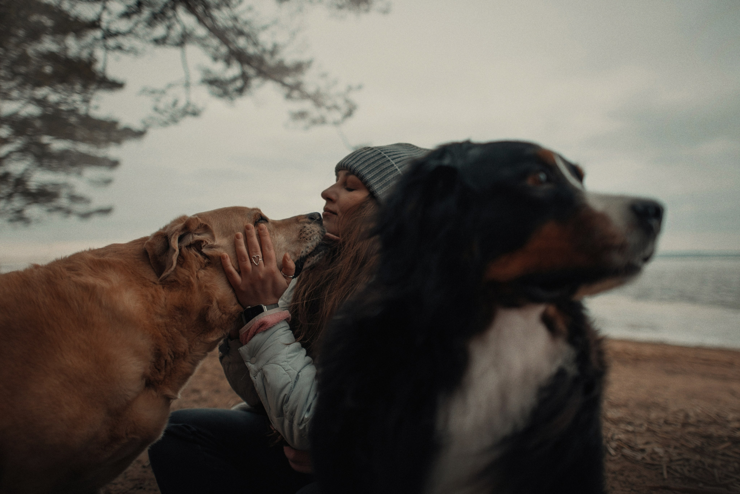 Прогулка: берн Пума, Фрэнк и Юля в Питере. Портфолио