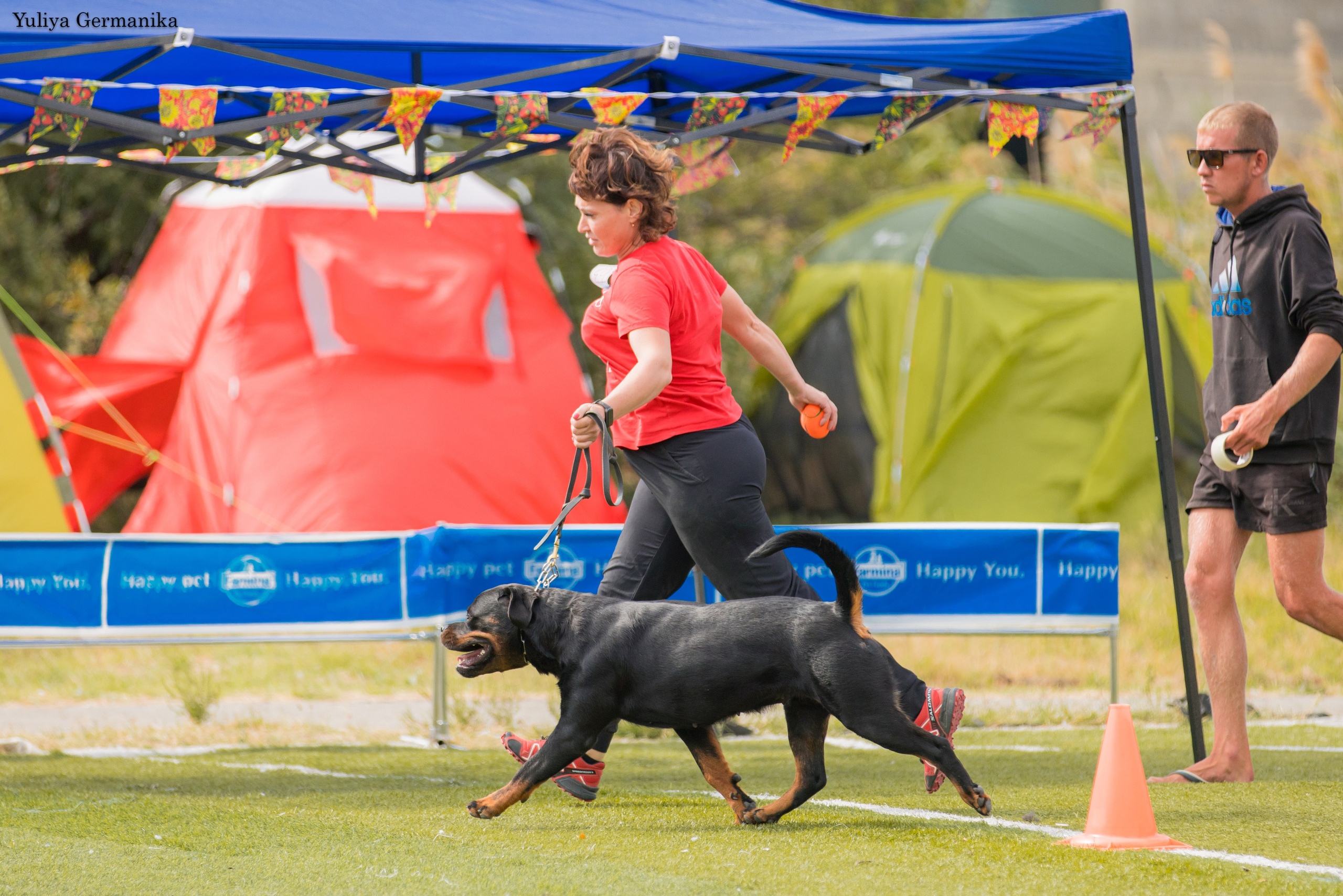 Анапа 16-17.09.2023 моно ротвейлеров. Фотограф-анималист Юлия Германика