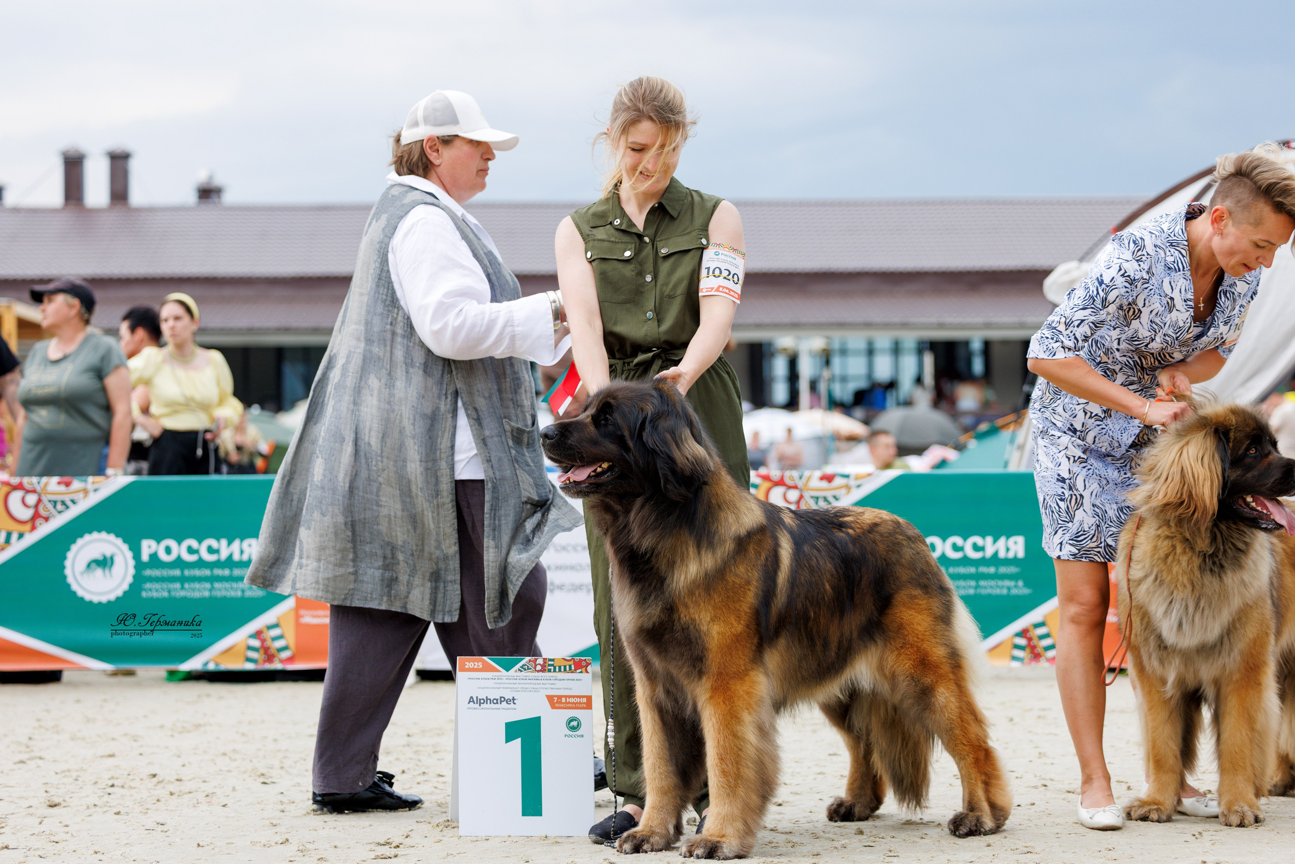 РОССИЯ 7-8.06.2025. Фотограф-анималист Юлия Германика
