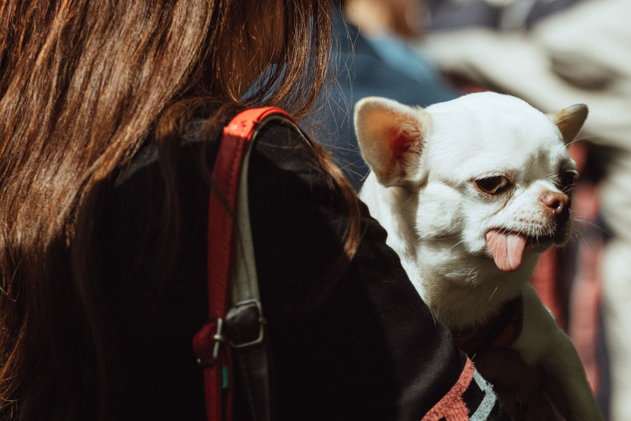 9 Мая 2024. Портреты. Репортаж. KRIS KRUPINNIKOVA