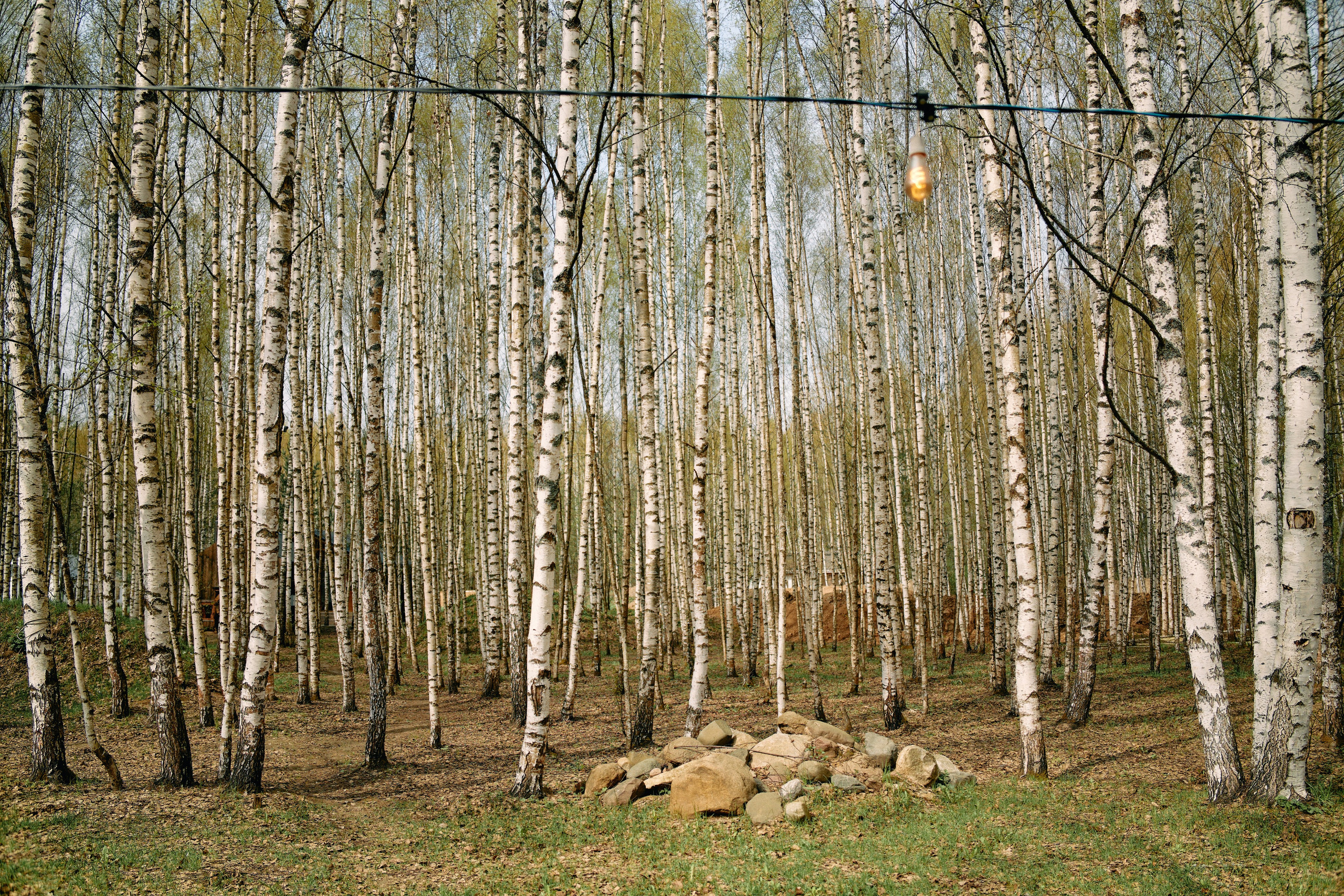 Бутик-отель Поле летом. Профессиональный Фотограф во Владимире, в Москве и в Суздале — Полина Романычева