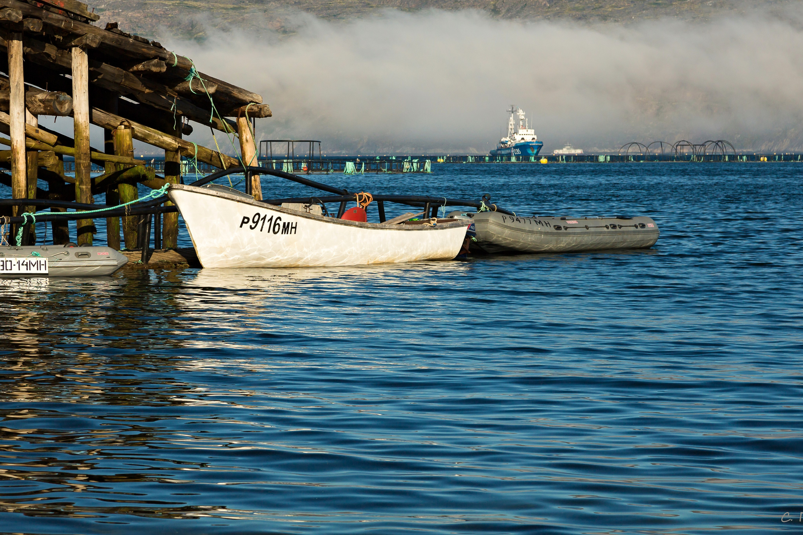 Печенга — край сосновой реки. Пейзажи Крайнего Севера. Баренцево море, Рыбачий, Средний, Немецкий