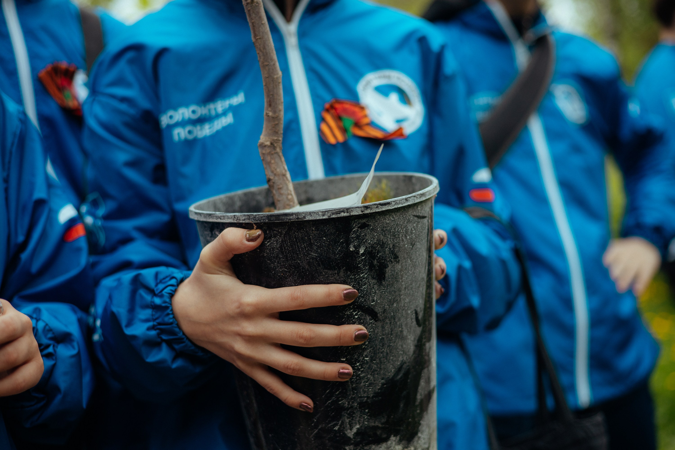 Сад памяти | волонтеры победы