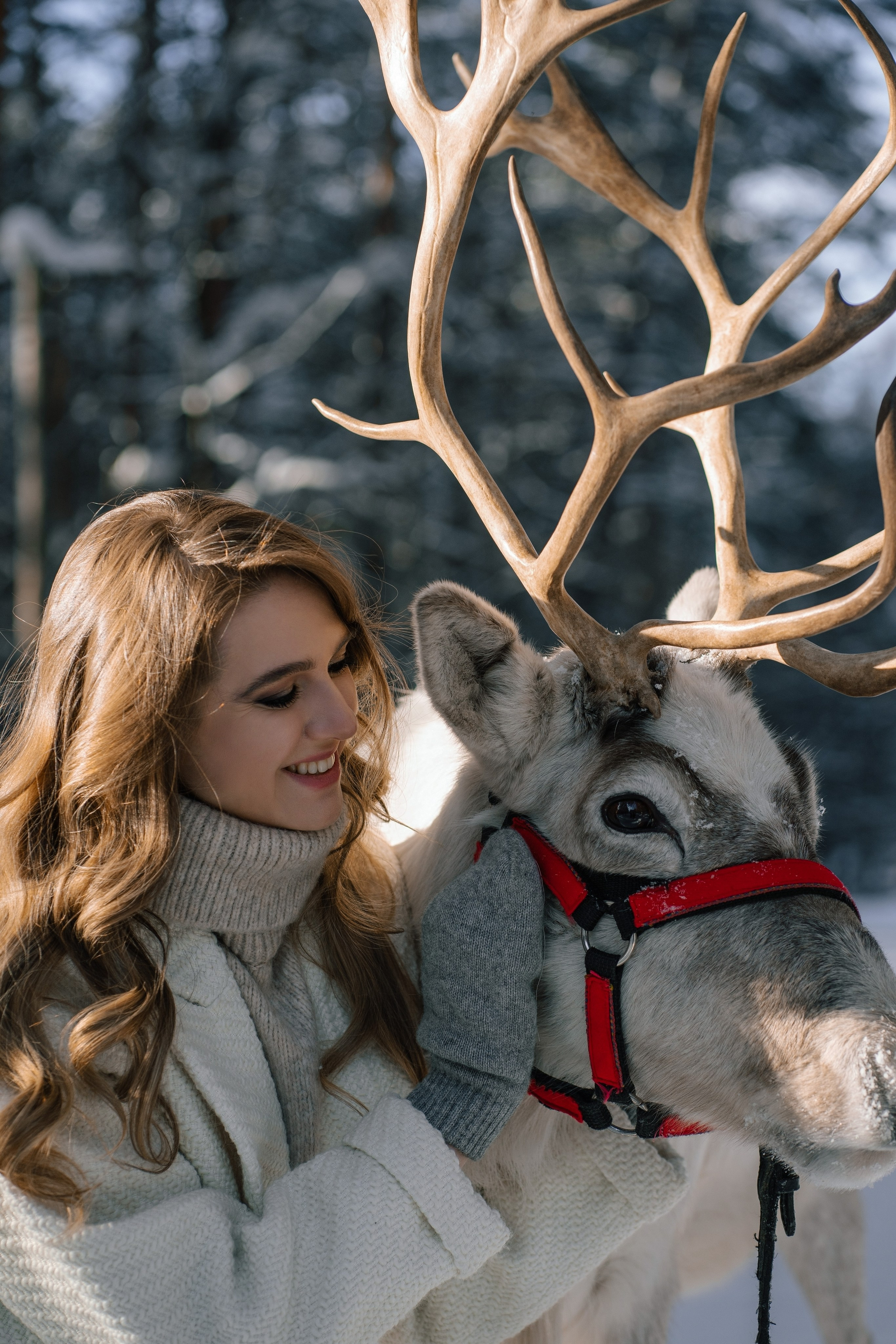 Артем & Кристина. Свадебный фотограф в Санкт-Петербурге — Евгения Лютоева
