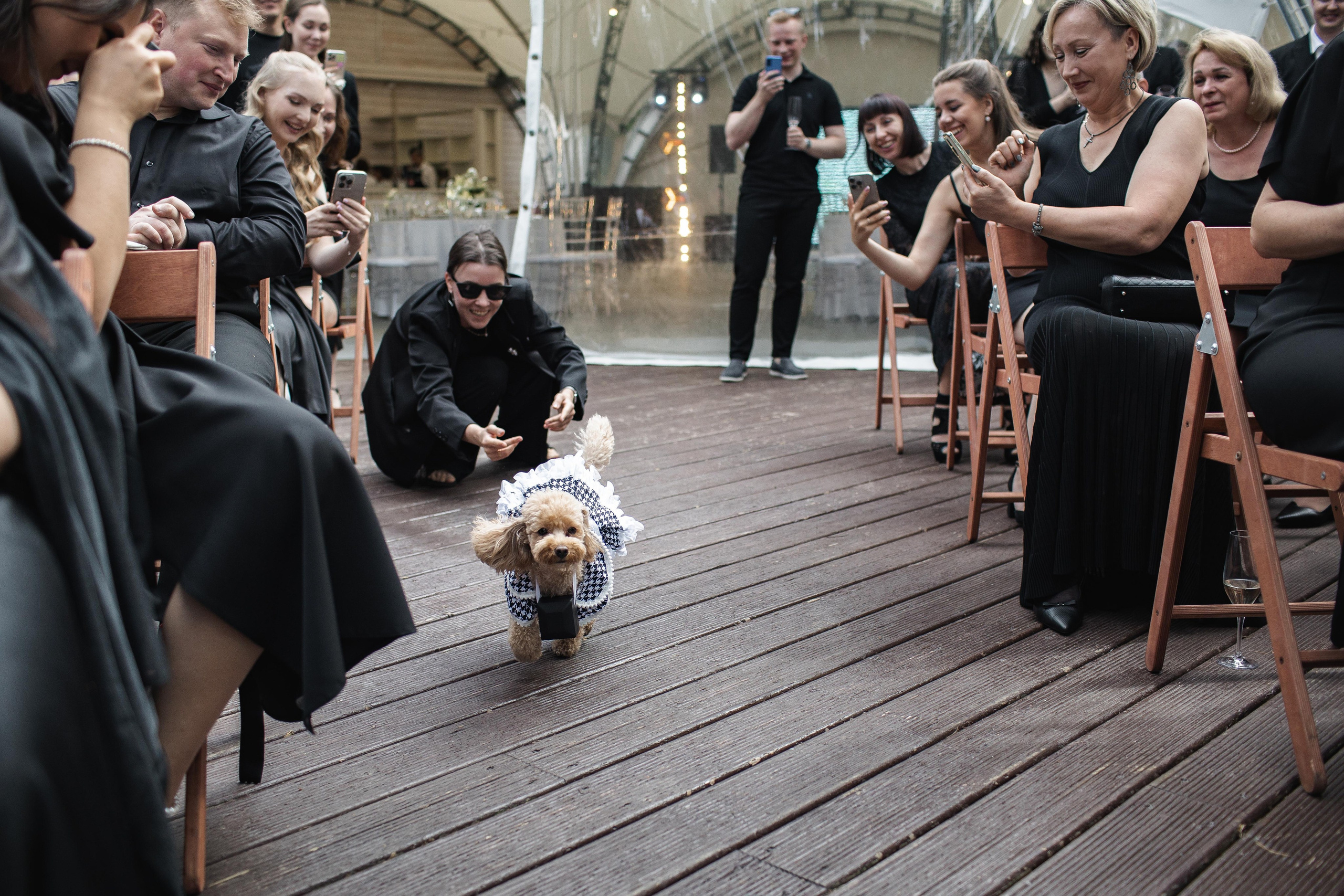 K & О. Свадебный фотограф Юлия Шторм