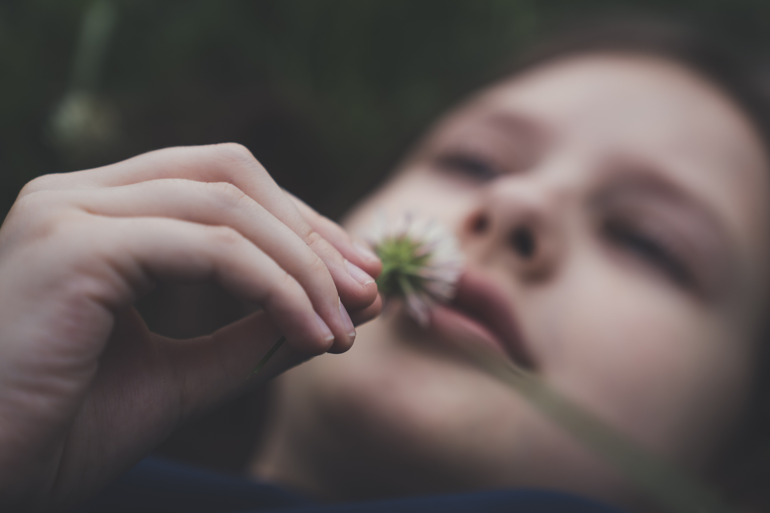 Творческие Проекты. Фото