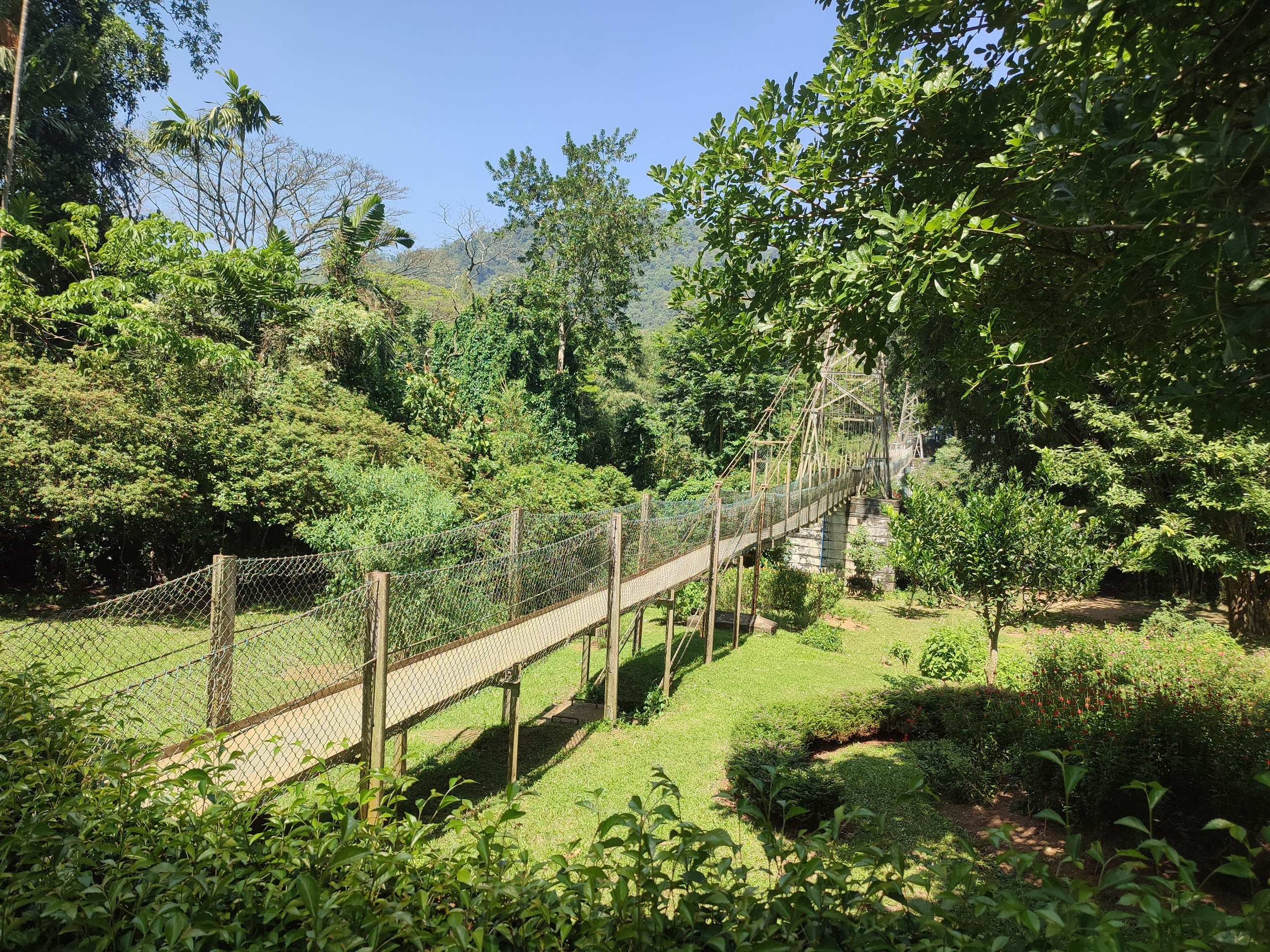 Шри-Ланка | 31.01 — 10.02.2025. Галерея Фантим