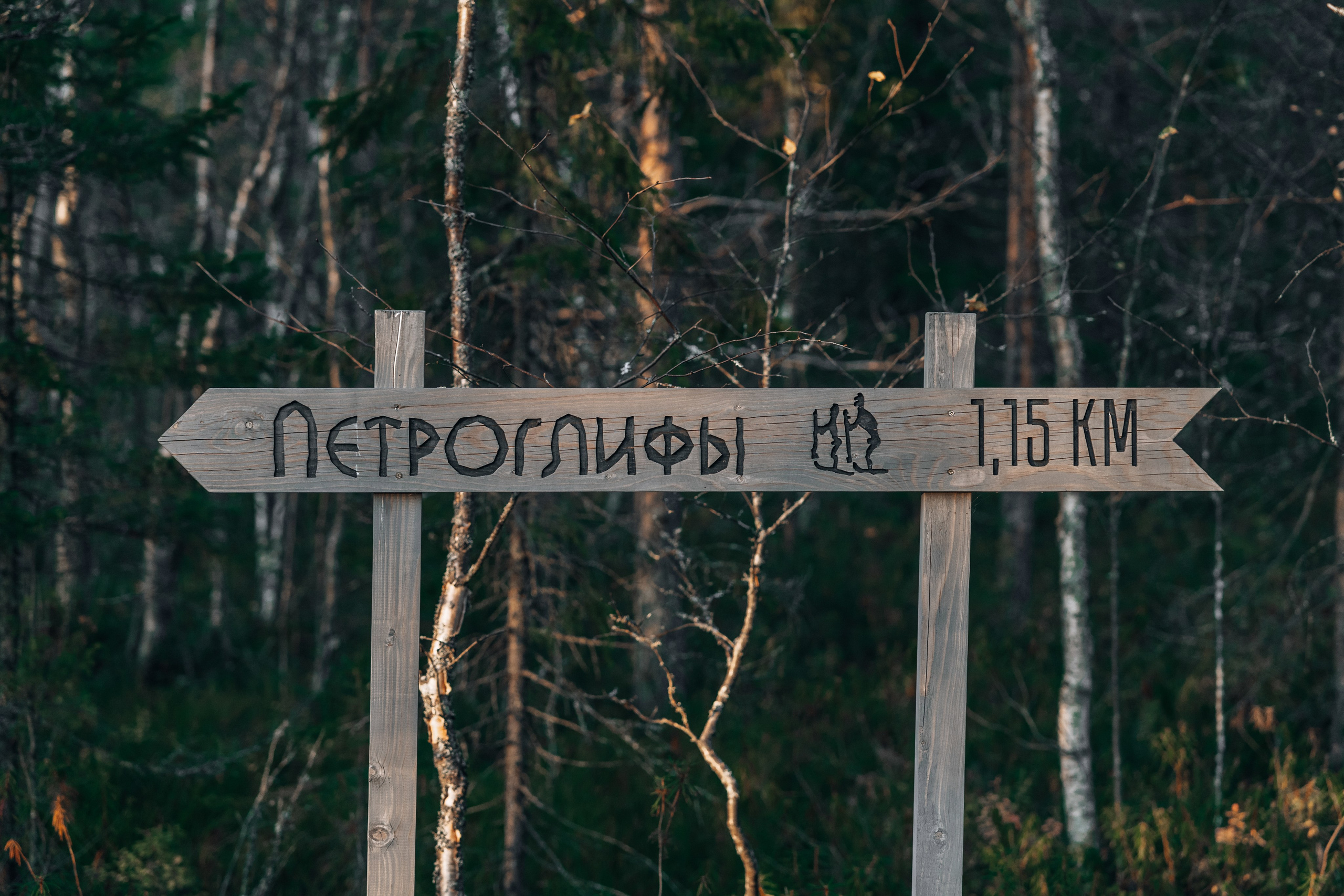 СТРИТ И ПРИРОДА. Репортажный фотограф Наталья Лапцевич