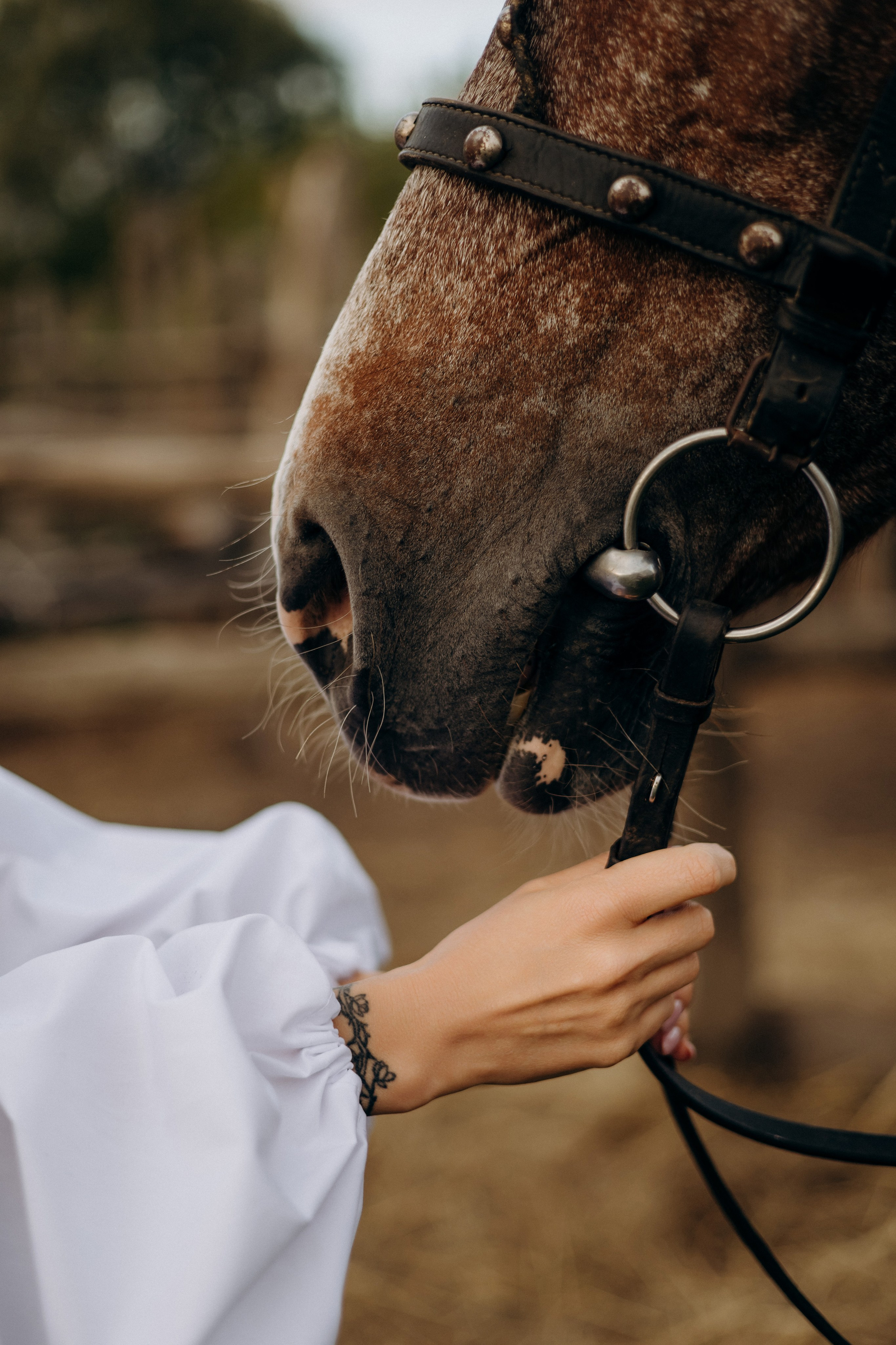 Фотоистория в конюшне. Портретный и семейный фотограф в Воронеже Ксения Ремизова