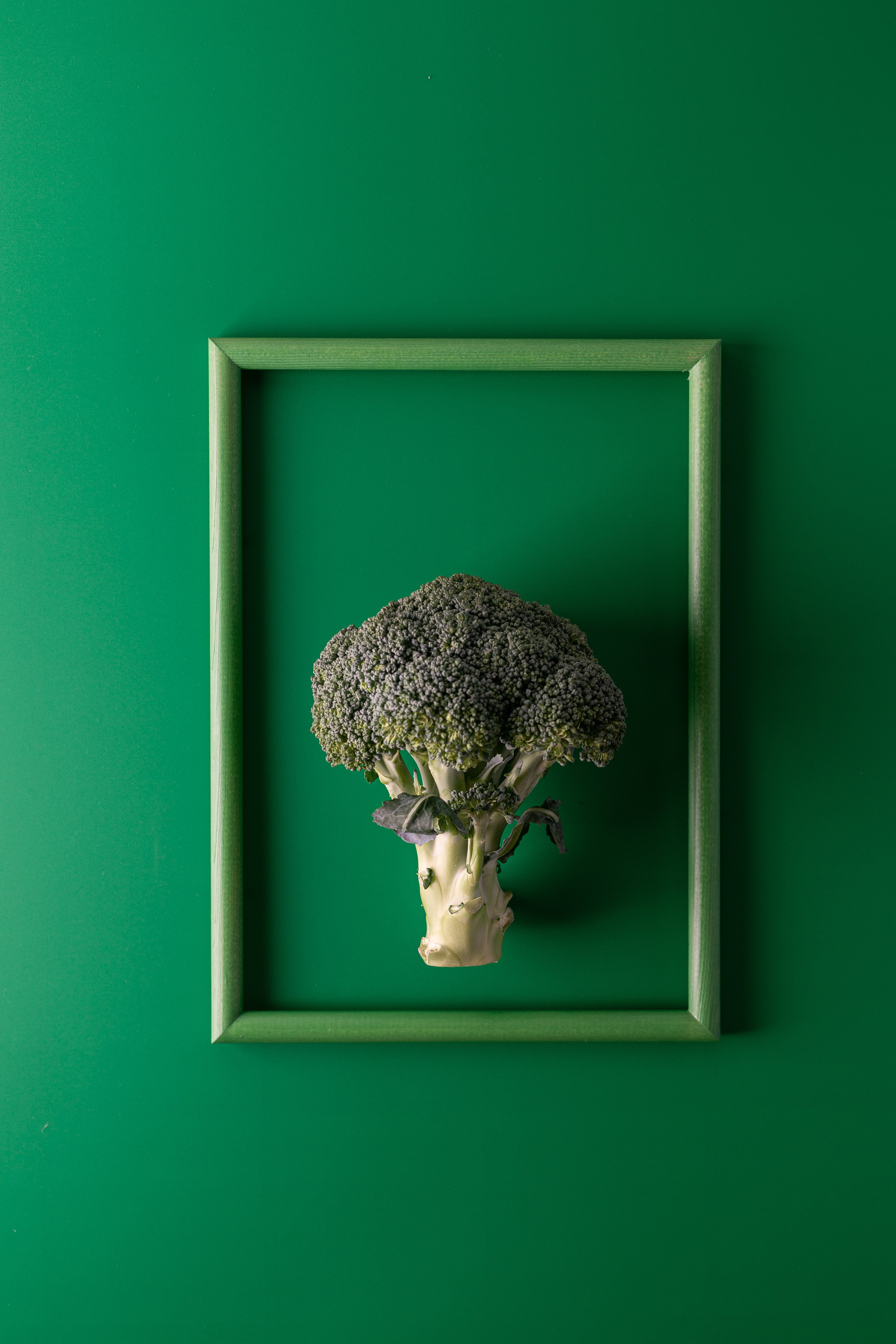 Портфолио — Творческие съёмки. Фуд-фотограф, фуд-блогер Москва — Анна Новикова