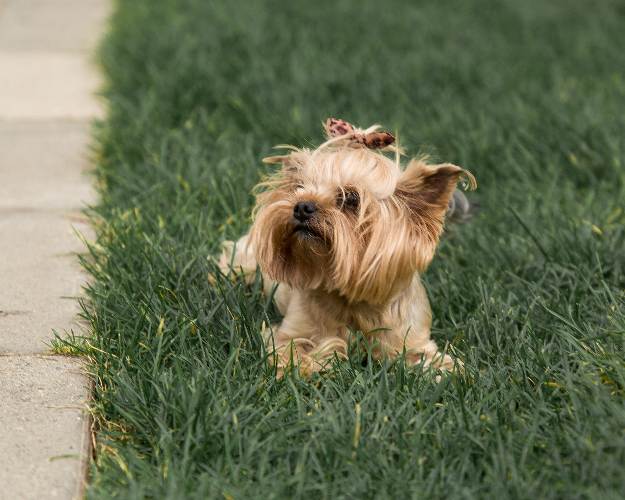 Лена и Тёма. Репортажный фотограф в Москве