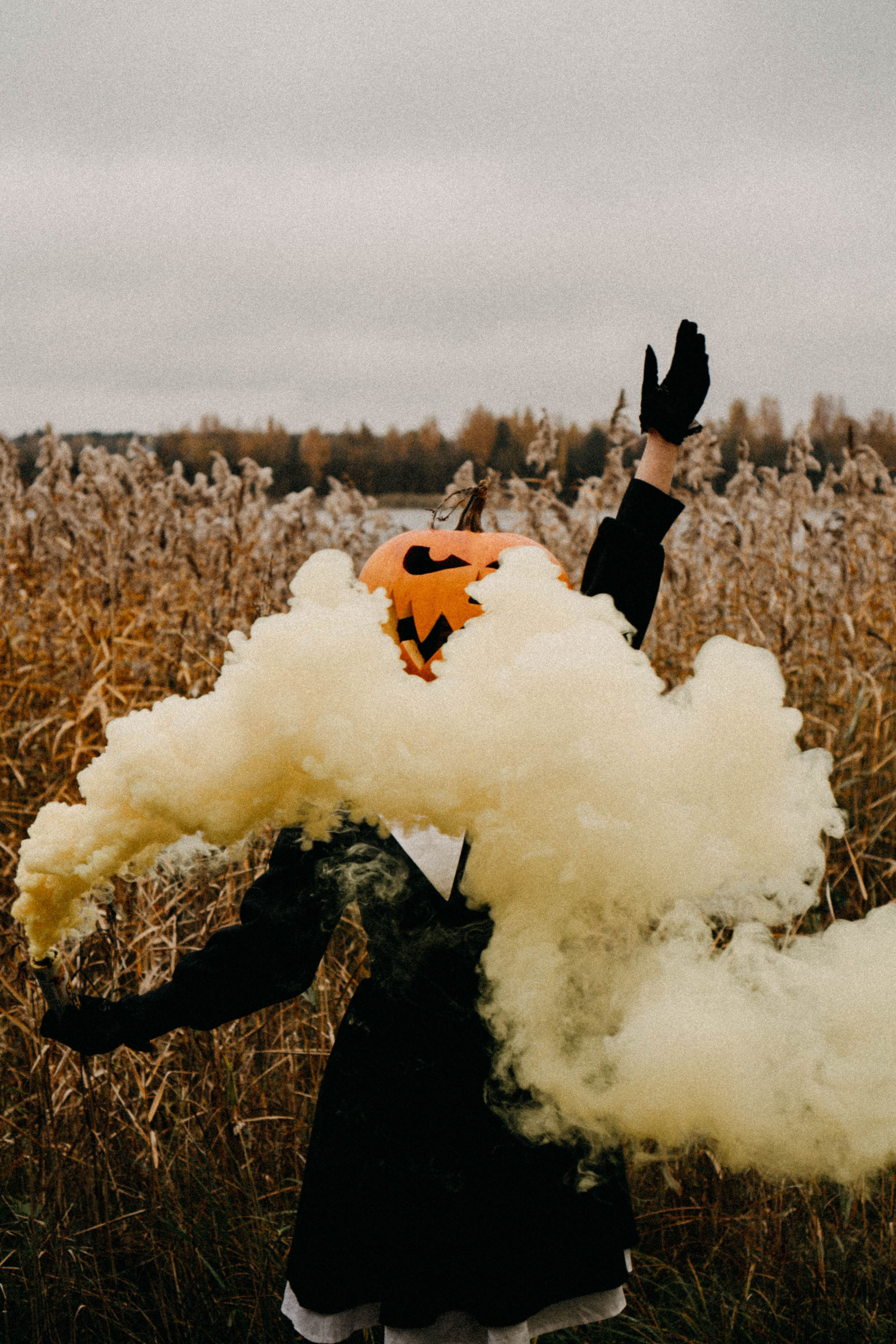Осеняя. Профессиональный фотограф, Санкт-Петербург — Виктория Богомолова