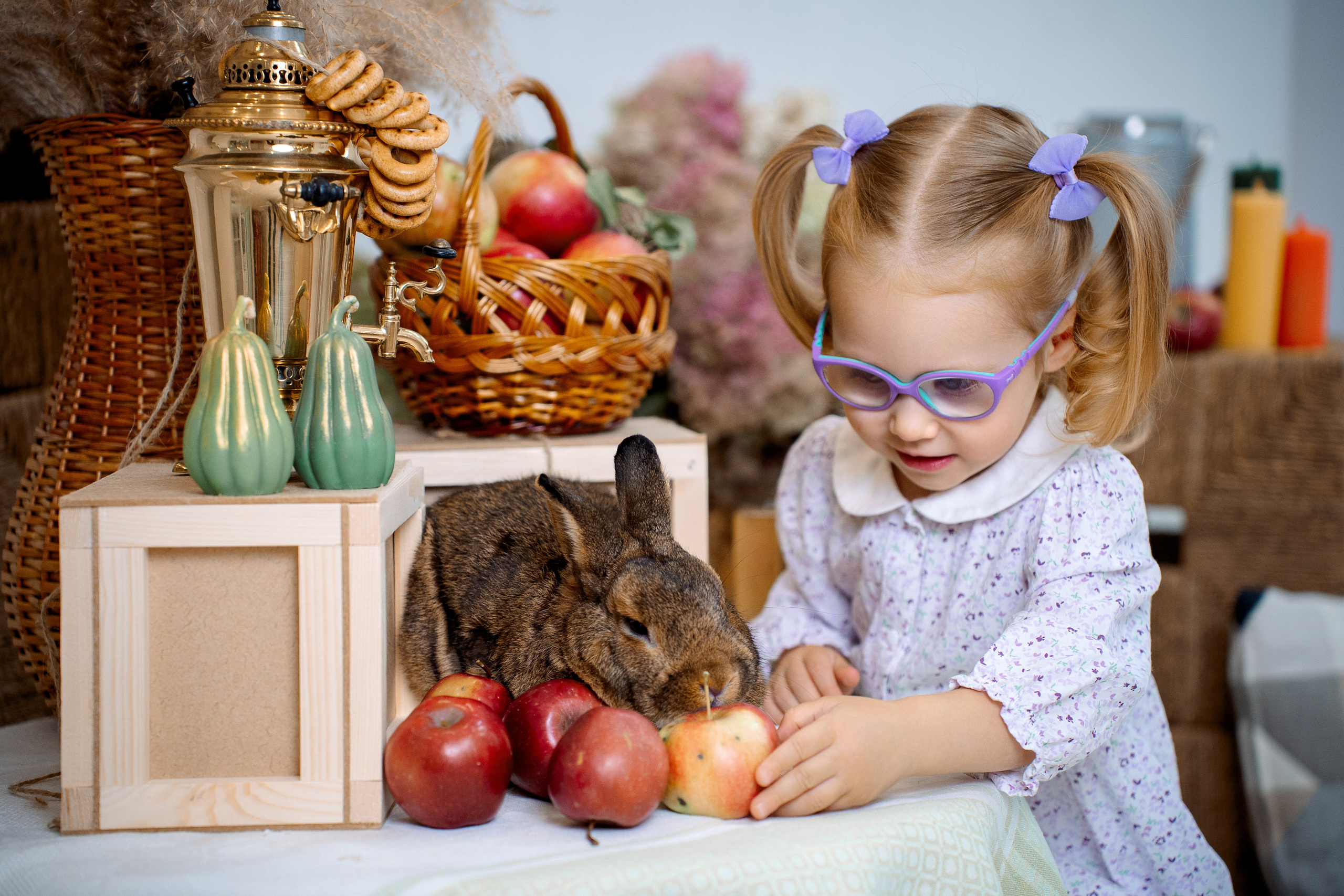 Кролик. Фотограф Казакова Анастасия