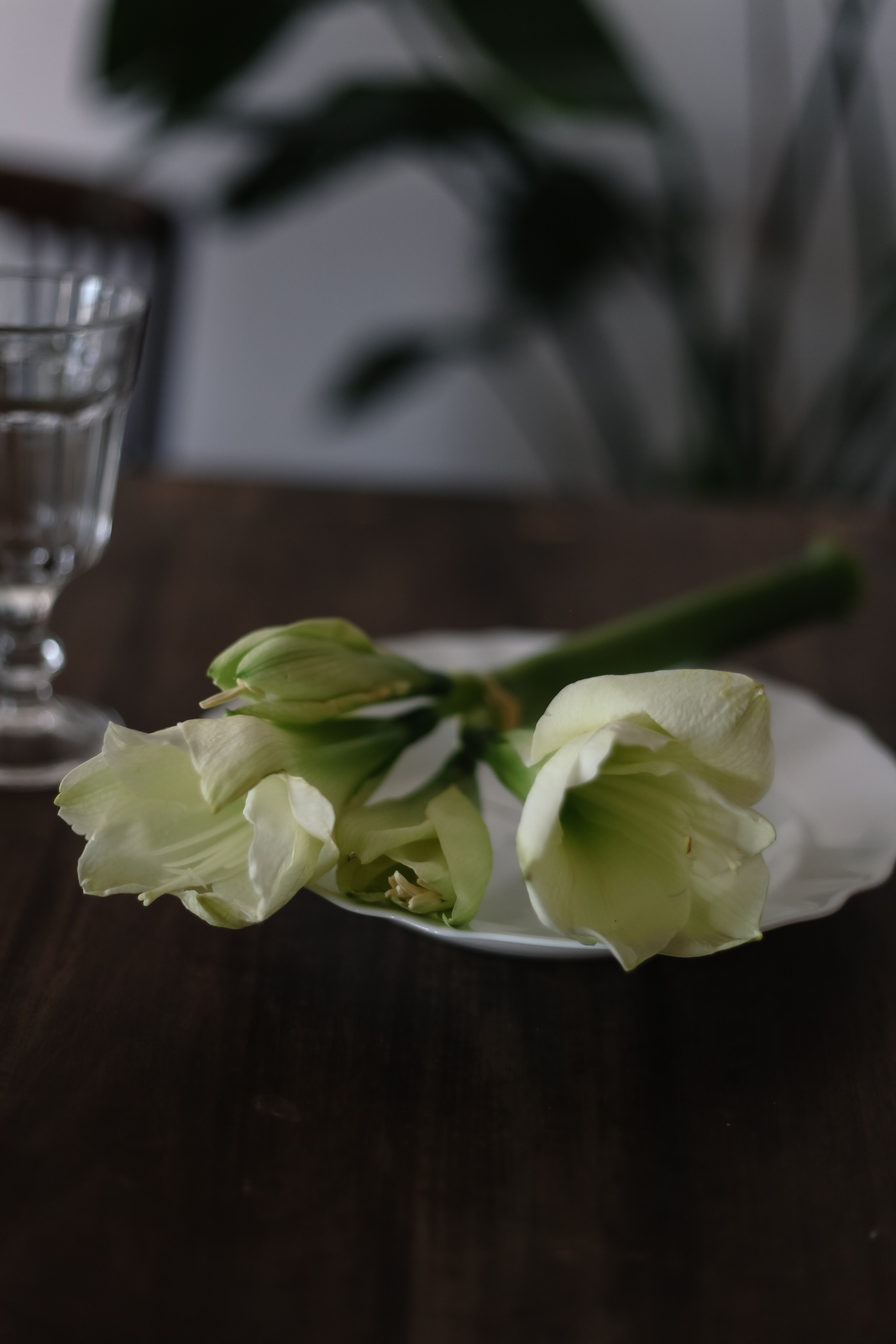 Рамис и Луиза. Свадебный фотограф в Санкт-Петербурге Лолита Романова