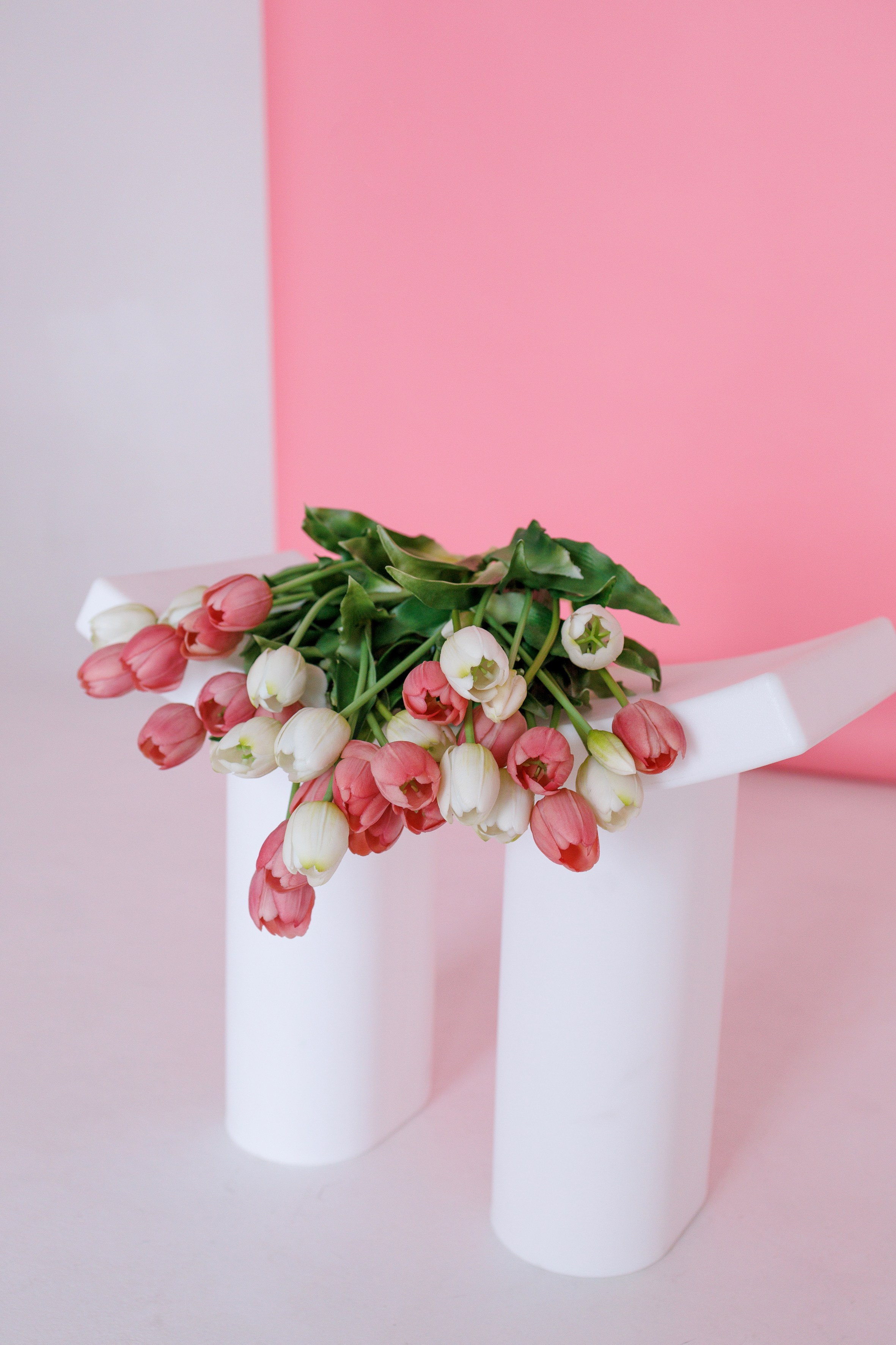 Циклорама. Фотостудия ART BAZA Тверь