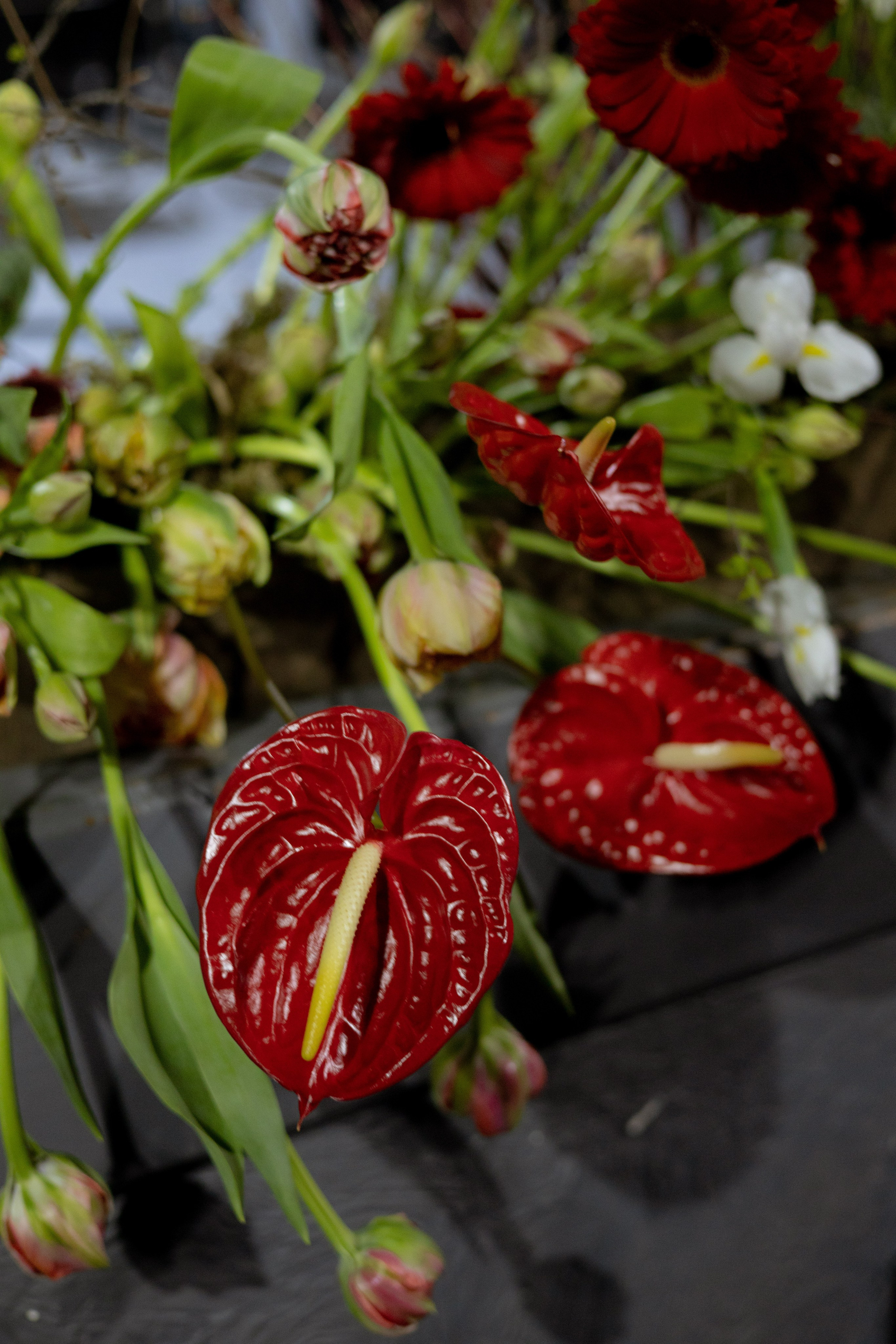 Оформление Отчетного концерта Музыкальной школы Глазунова. Оформление свадеб, декор свадеб Вера Маркова, Москва