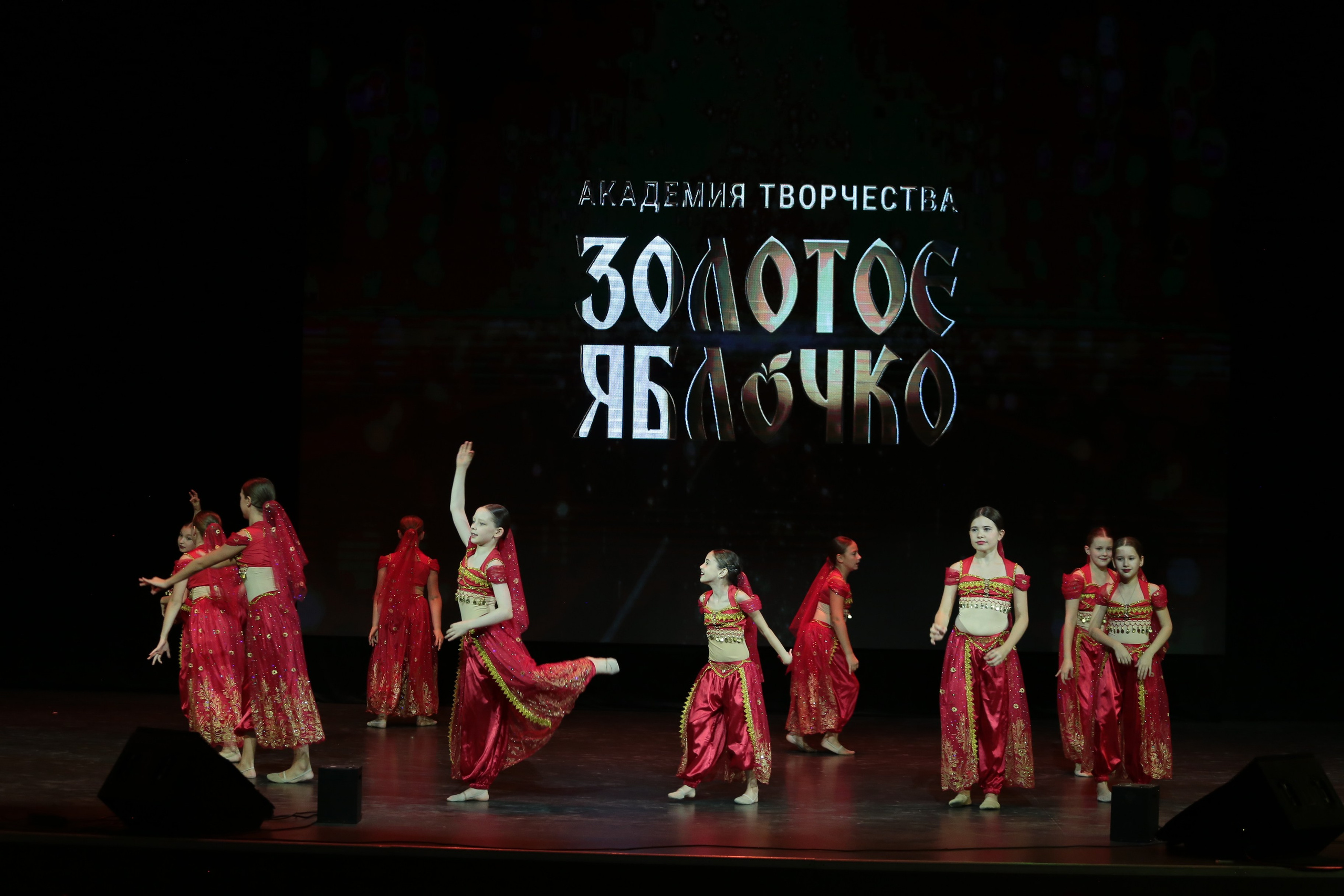 3 ноября, г. Казань. Золотое яблочко