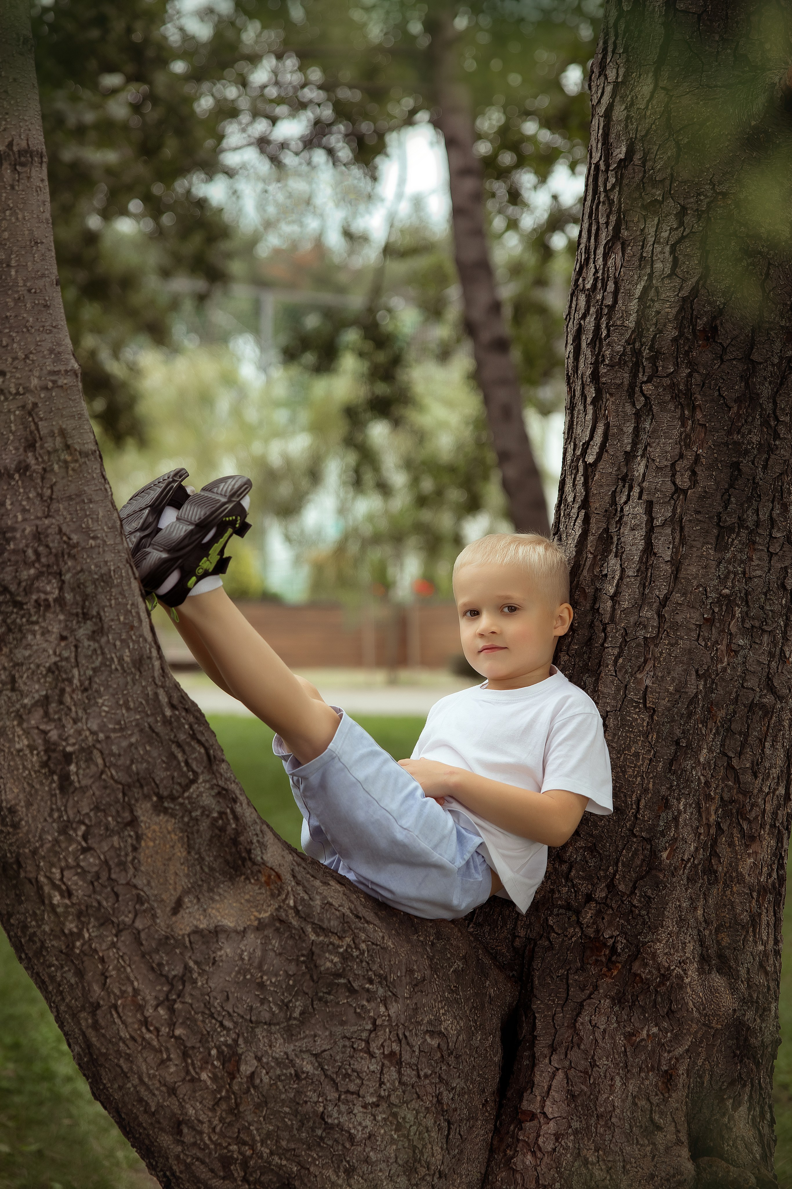 Детки парк Дельфин. Фотограф на крещение и венчание
