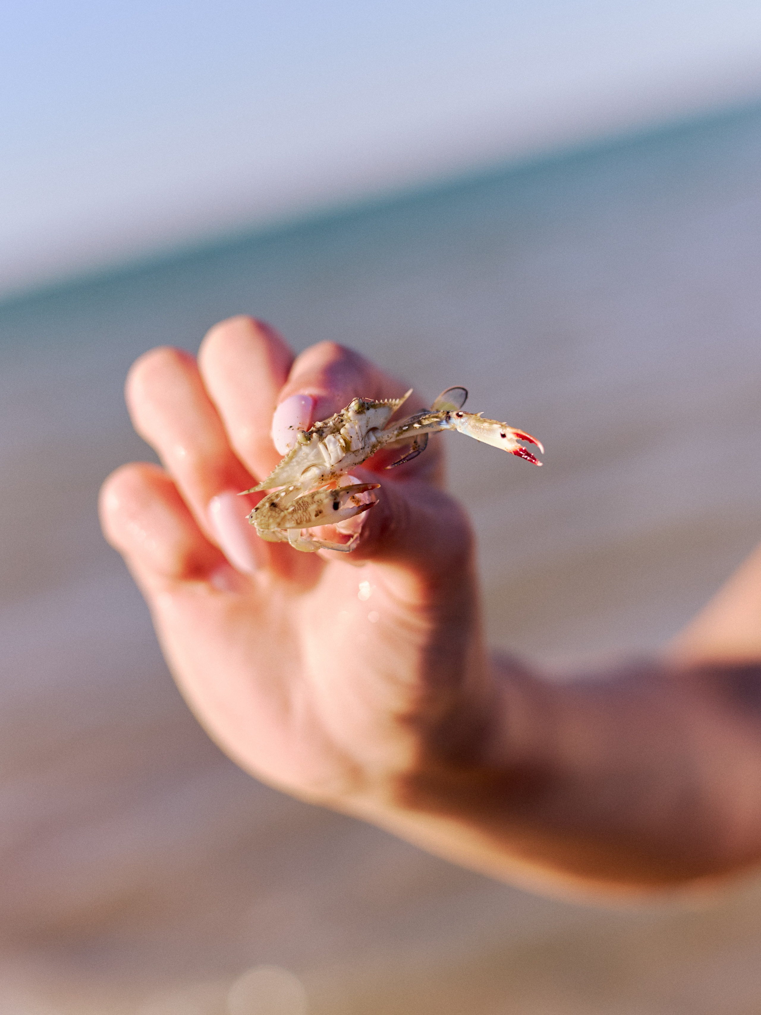 Другое 3. Jorgis Talè — photographer, kind person, teacher of arts and other mag