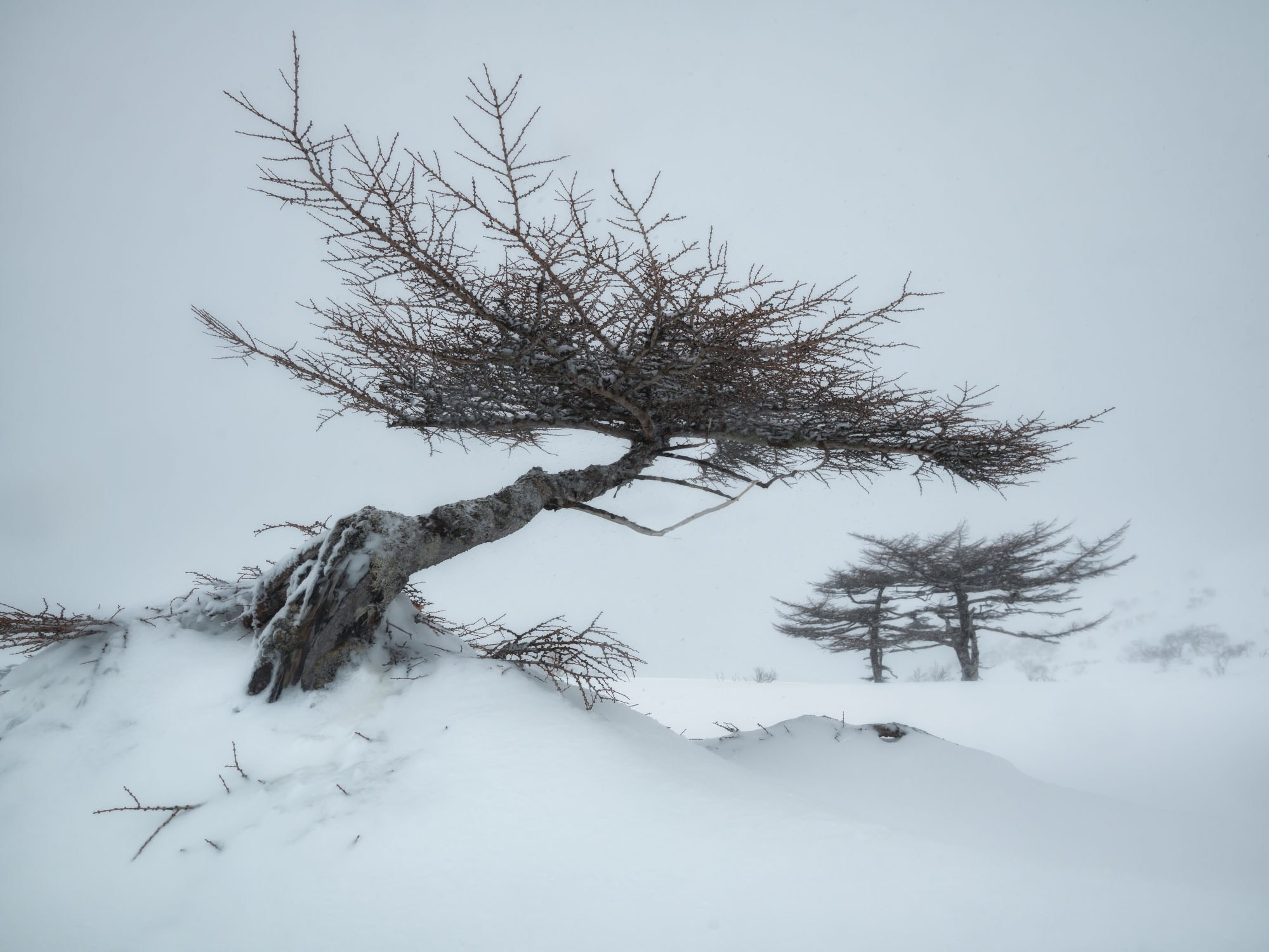 Фотогалерея Зимние Курилы