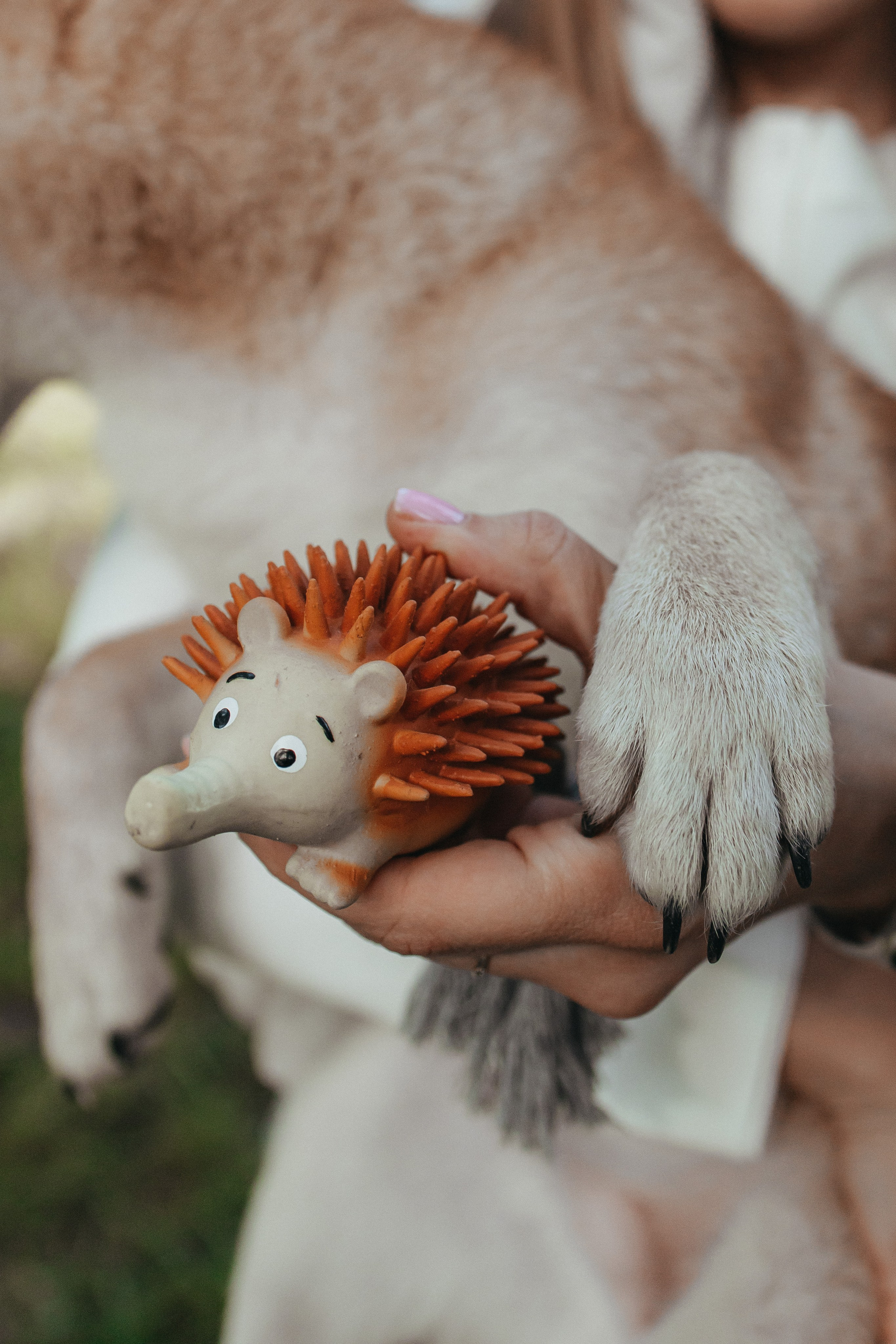 Фотосессия с собакой для Светы, Сергея и их любимчика Апи. Семейный фотограф в Москве, Щелково, Фрязино _ Виктория Степанова