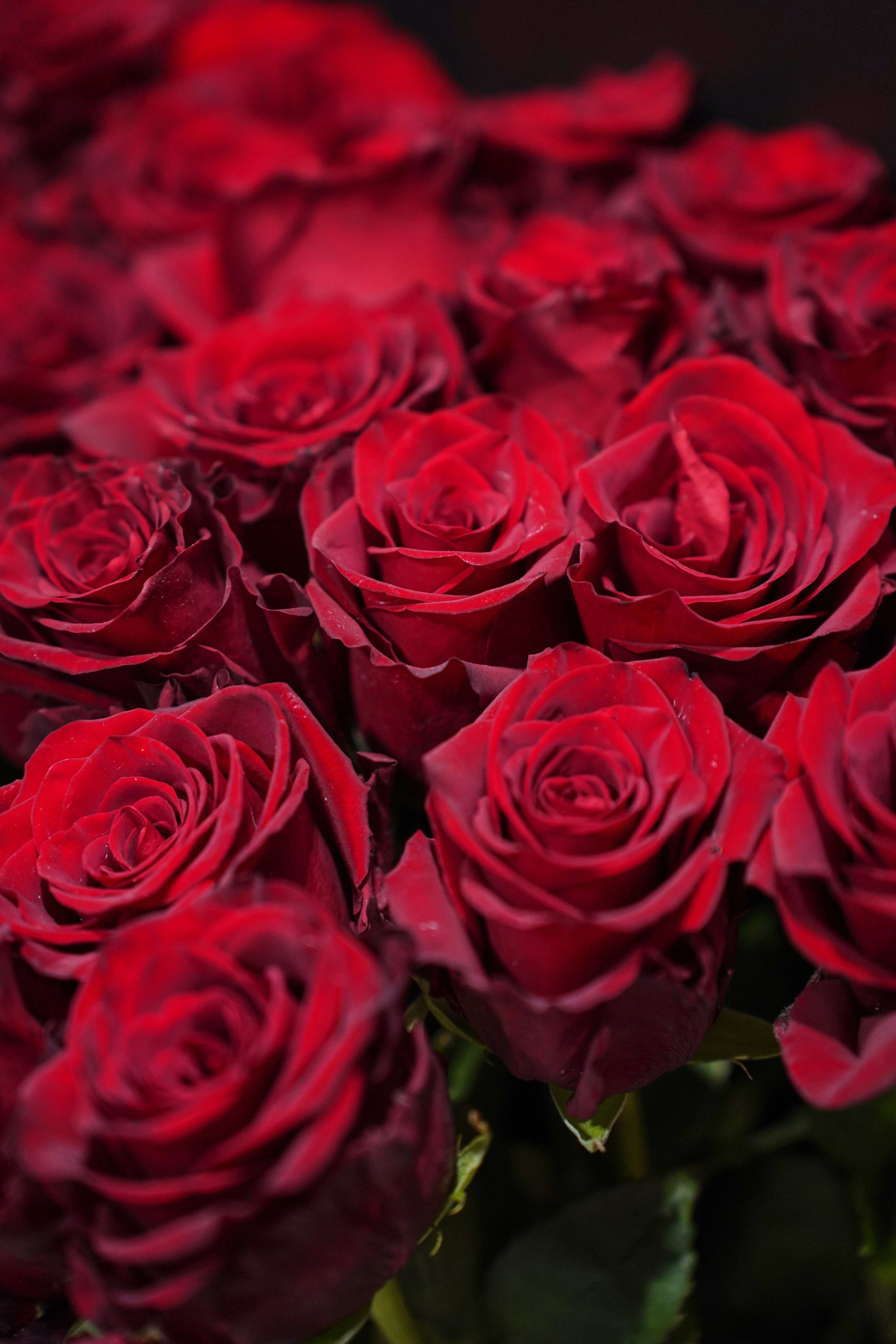 Концерт кавер группы. Фотограф