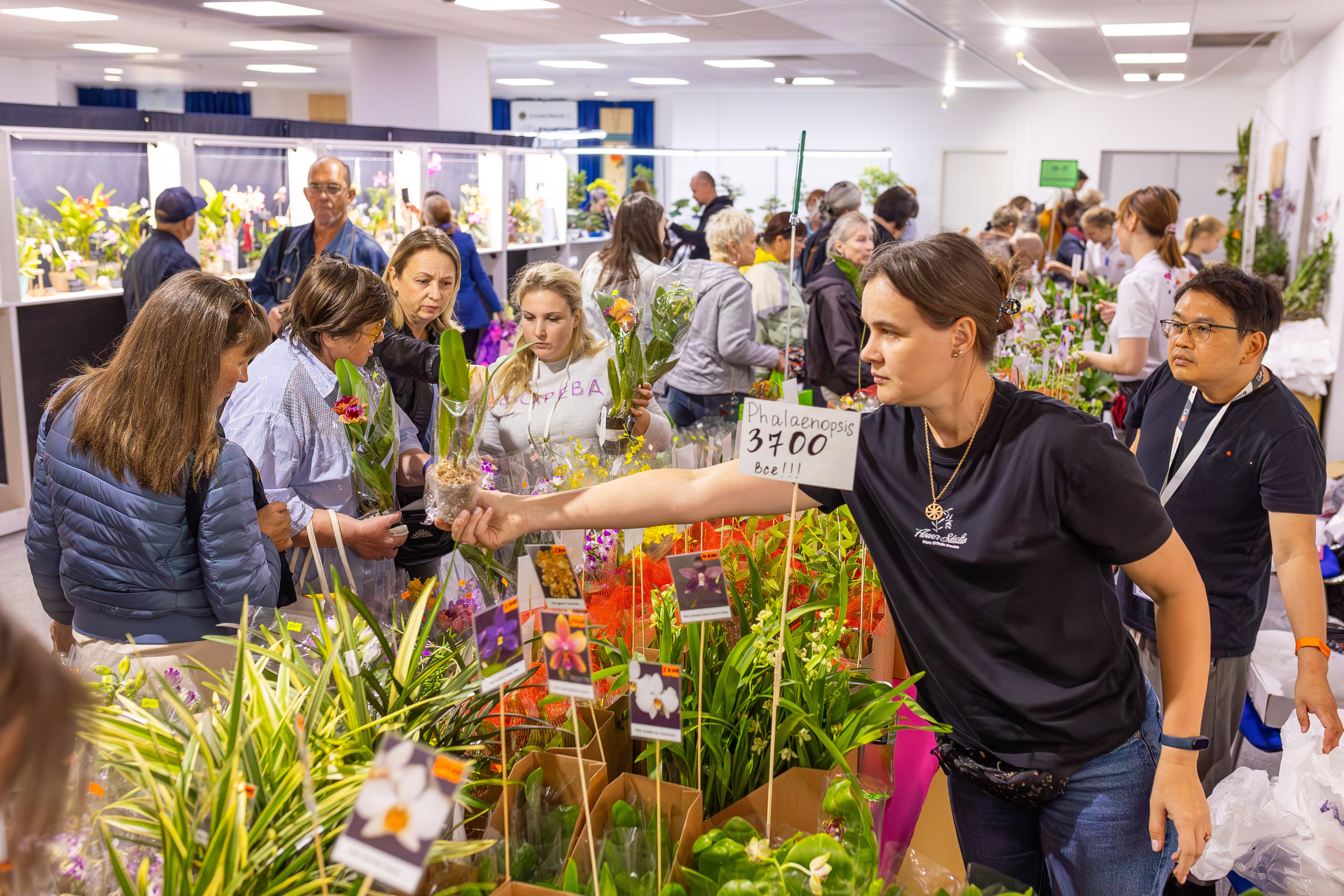Орхидиум сентябрь 2025. Александра Куликова фотограф, Москва