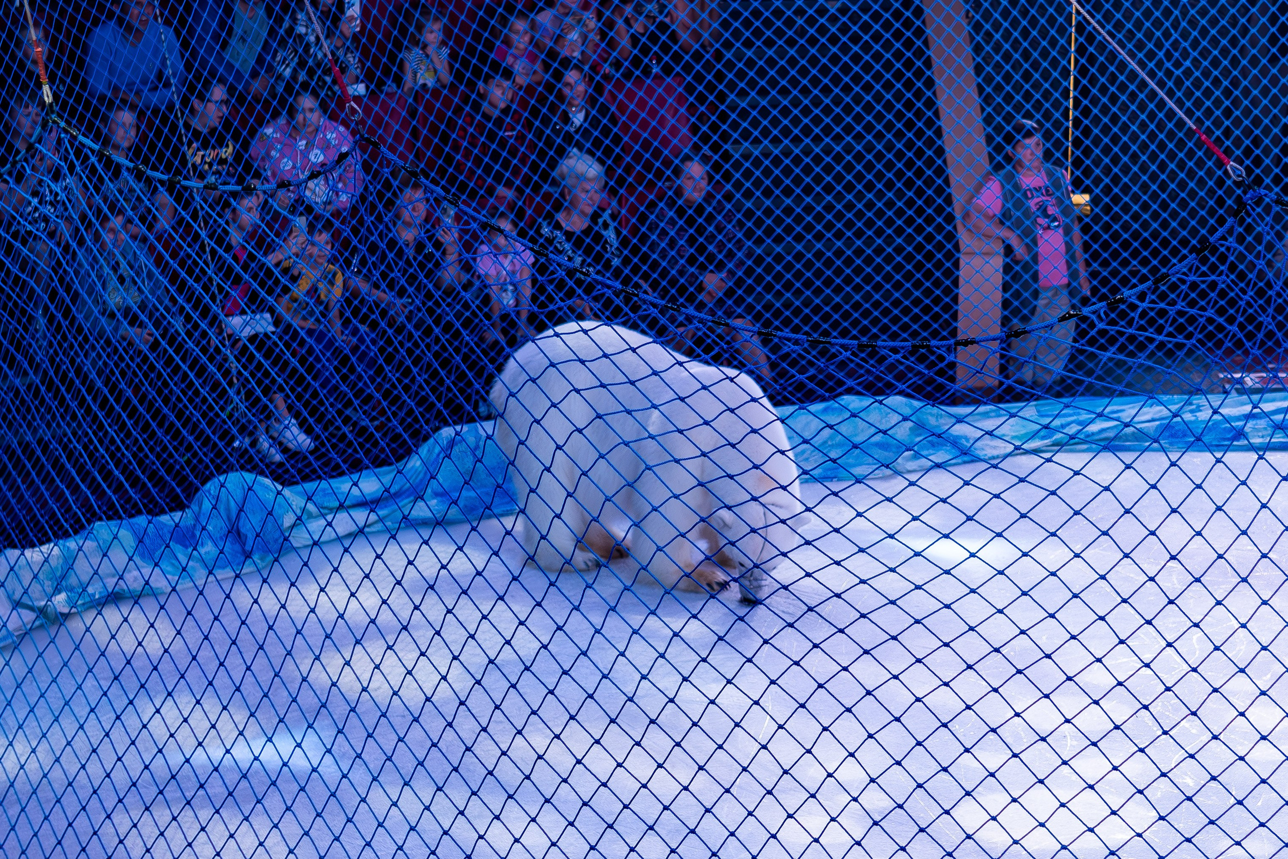 Цирк на льду «Айсберг» в Луганске. Фотограф в РФ и ЛНР Юлия Федосеева