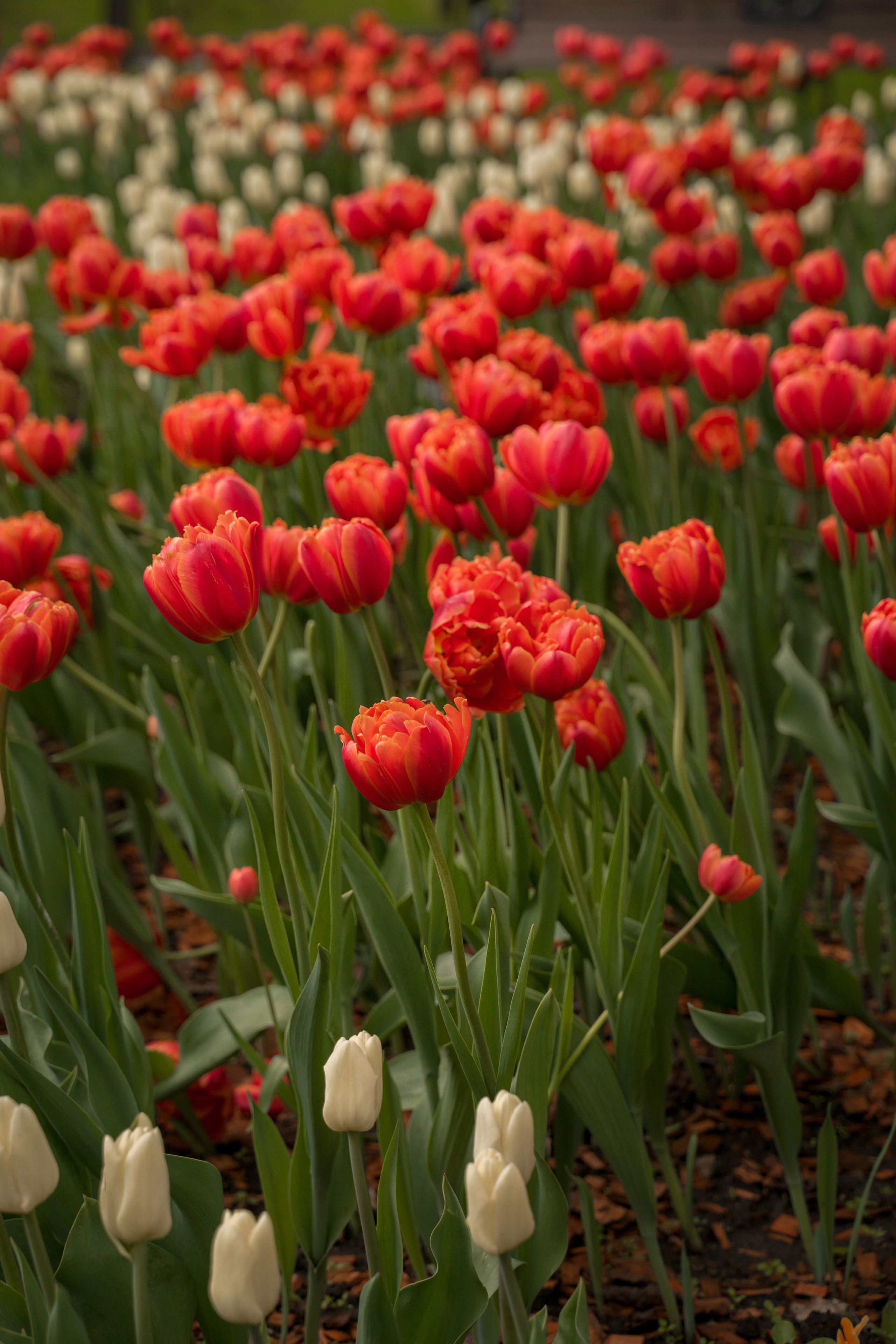 Нижний Новгород. Контент-фотограф в Нижнем Новгороде Антошина Ольга