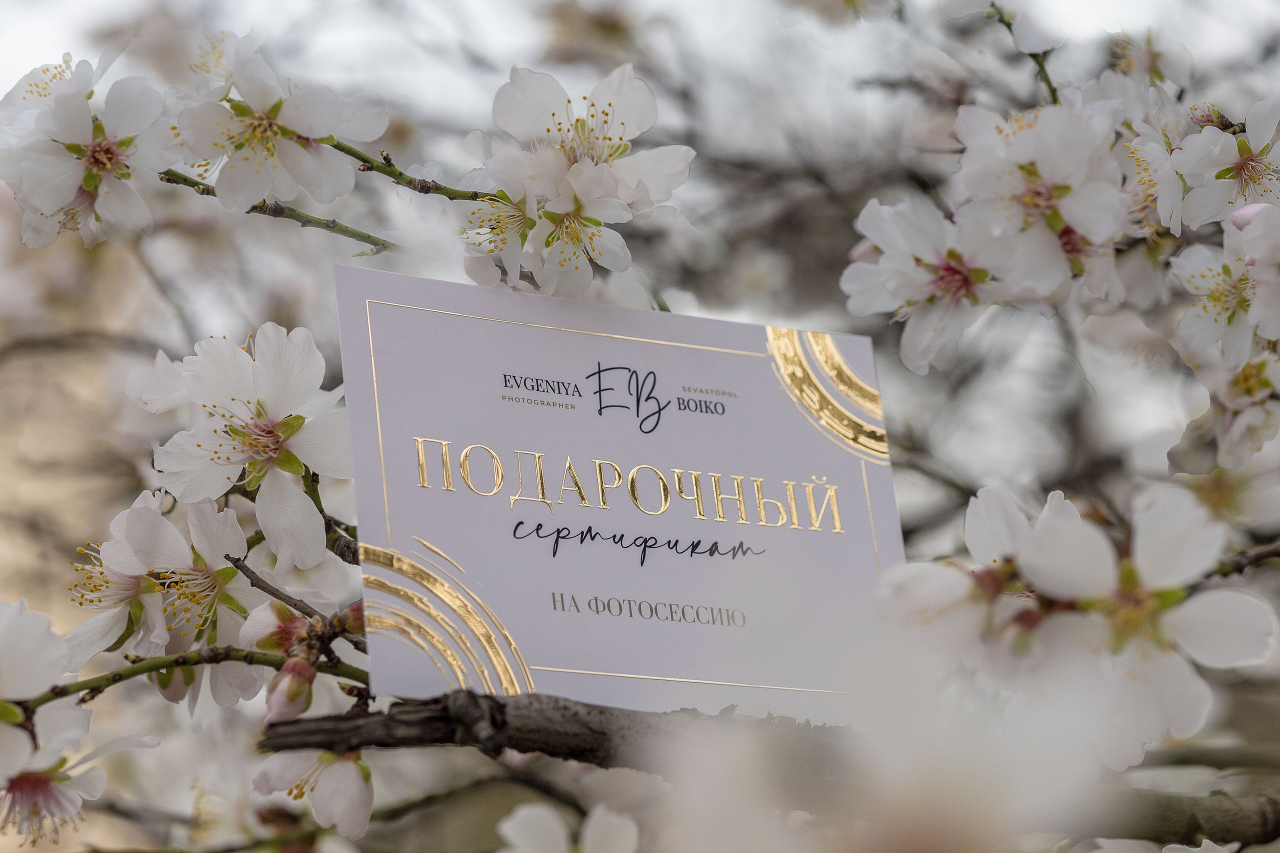 Подарочный сертификат на фотосессию в Севастополе. Фотограф в Севастополе — Евгения Бойко