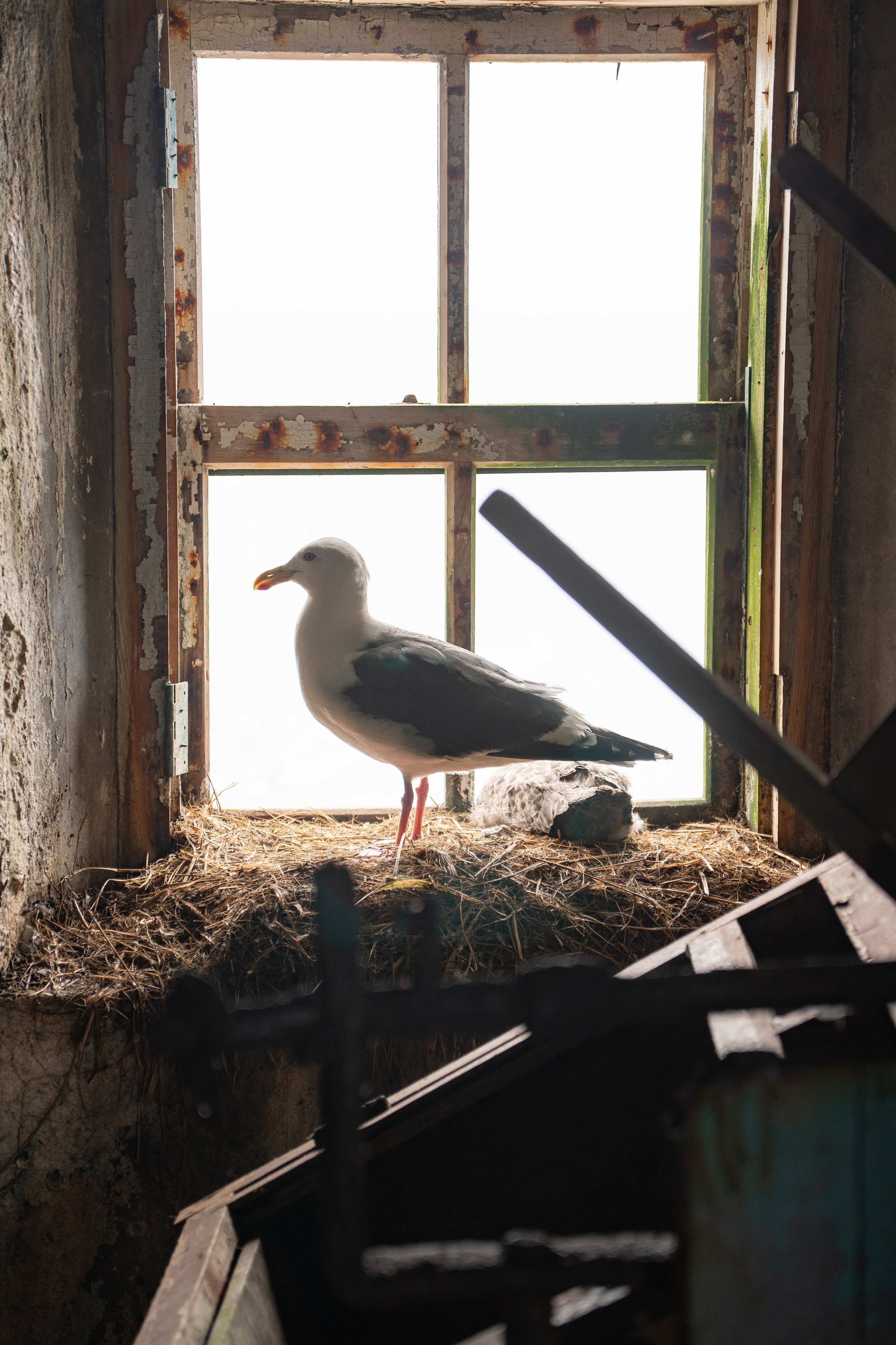 Сахалин. Gusarov Travel Photography