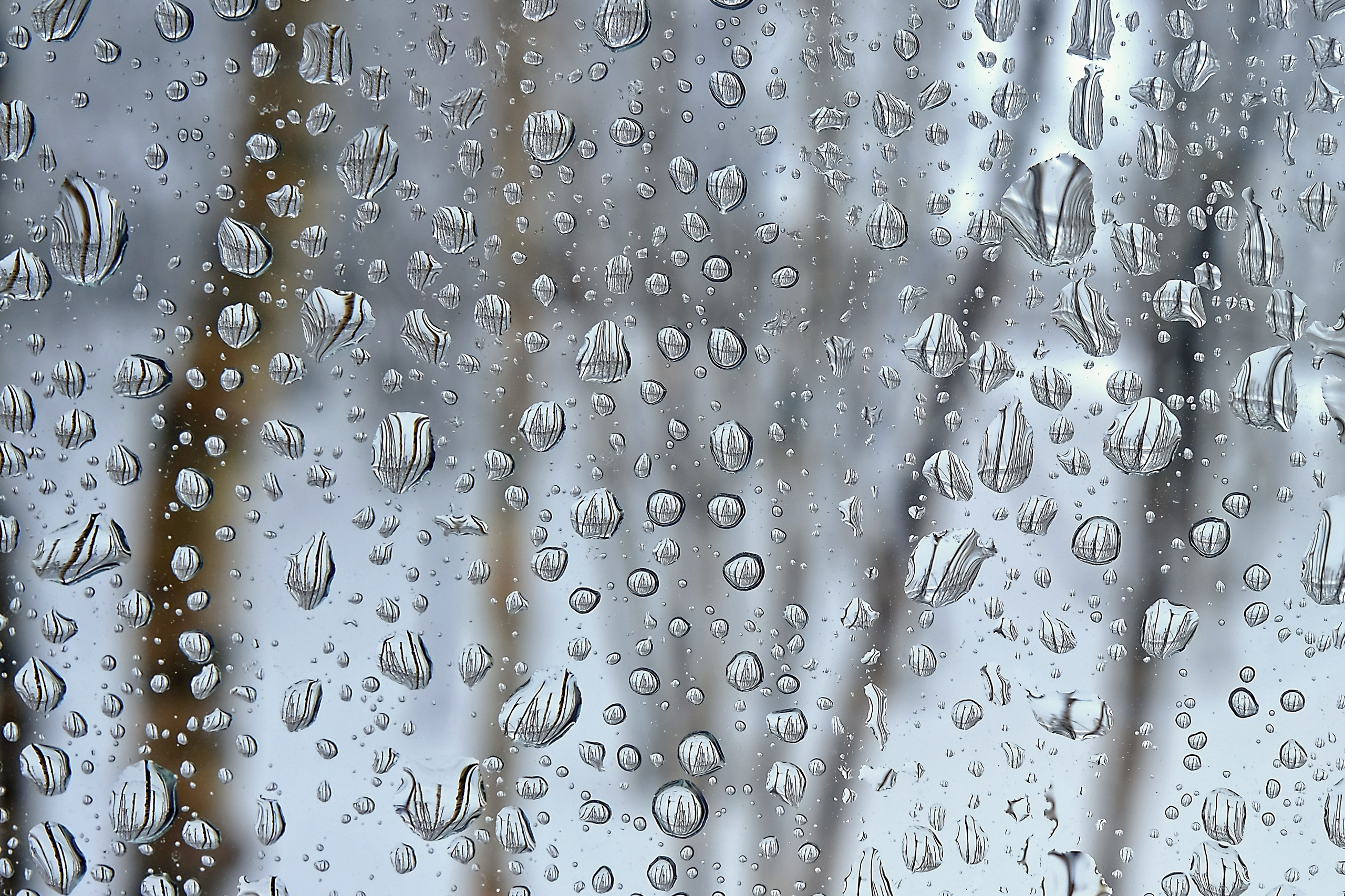 Зима. Пейзажи Крайнего Севера. Баренцево море, Рыбачий, Средний, Немецкий