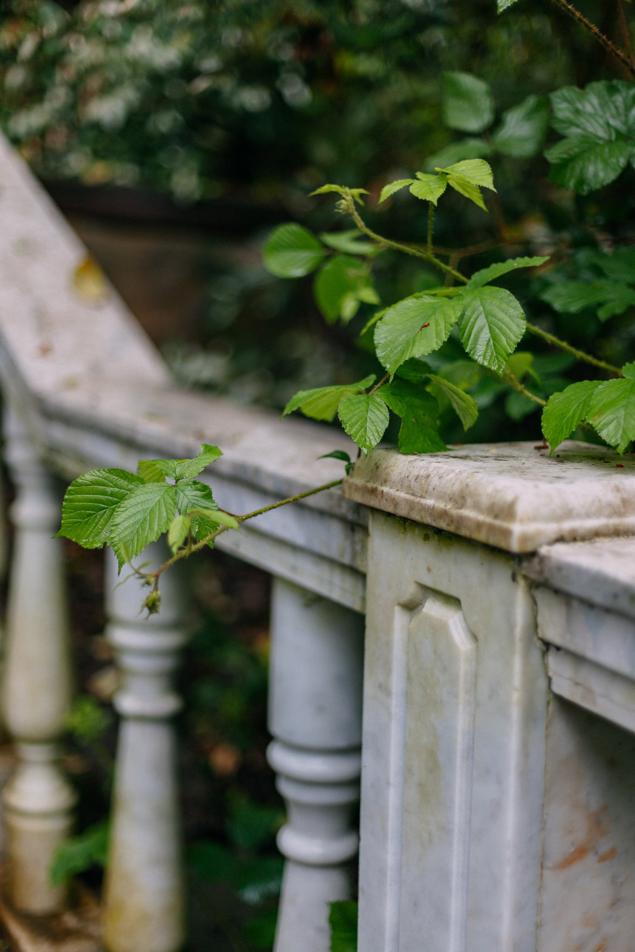 Сочи. Аня Степанова