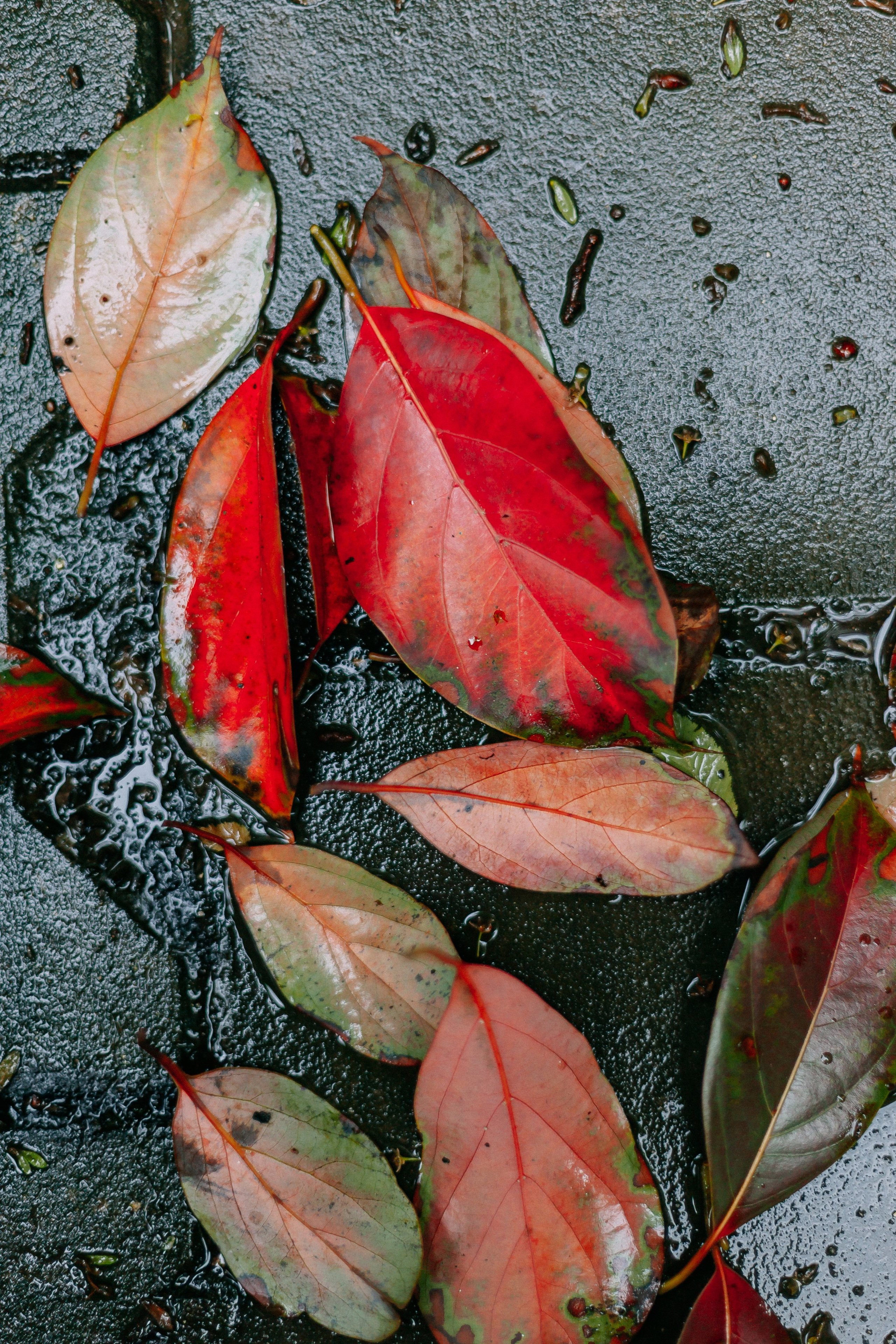 Сочи. Аня Степанова